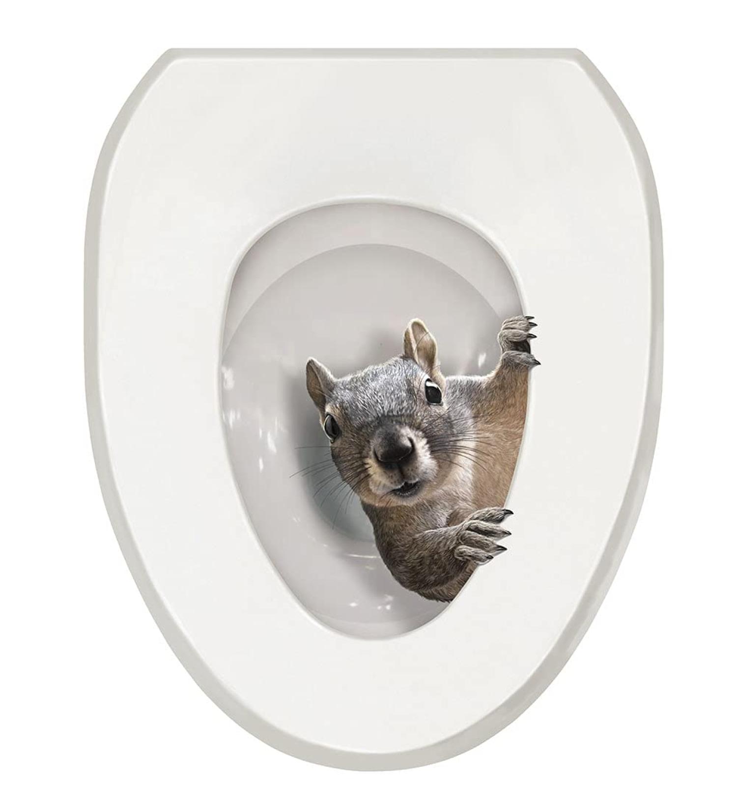 What on Earth Squirrel Toilet Lid Cover Funny Elongated Toilet Seat Decal - Buy Online on GoSupps.com