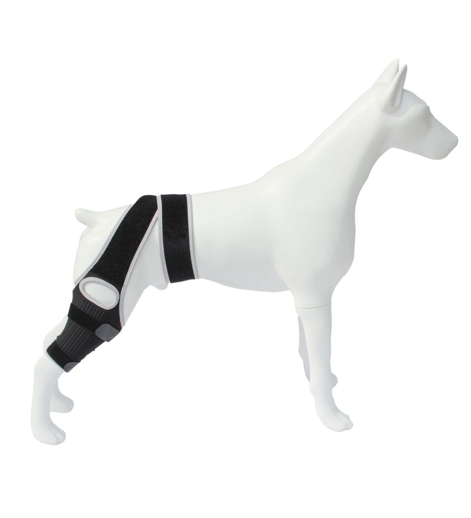 QYJLOFMVE Dog Knee Brace Support for Large and Small Dogs Suffering from ACL CCL Cruciate Ligament Injuries Luxating Patella or Osteoarthritis for Rear Legs and - Buy Online on GoSupps.com