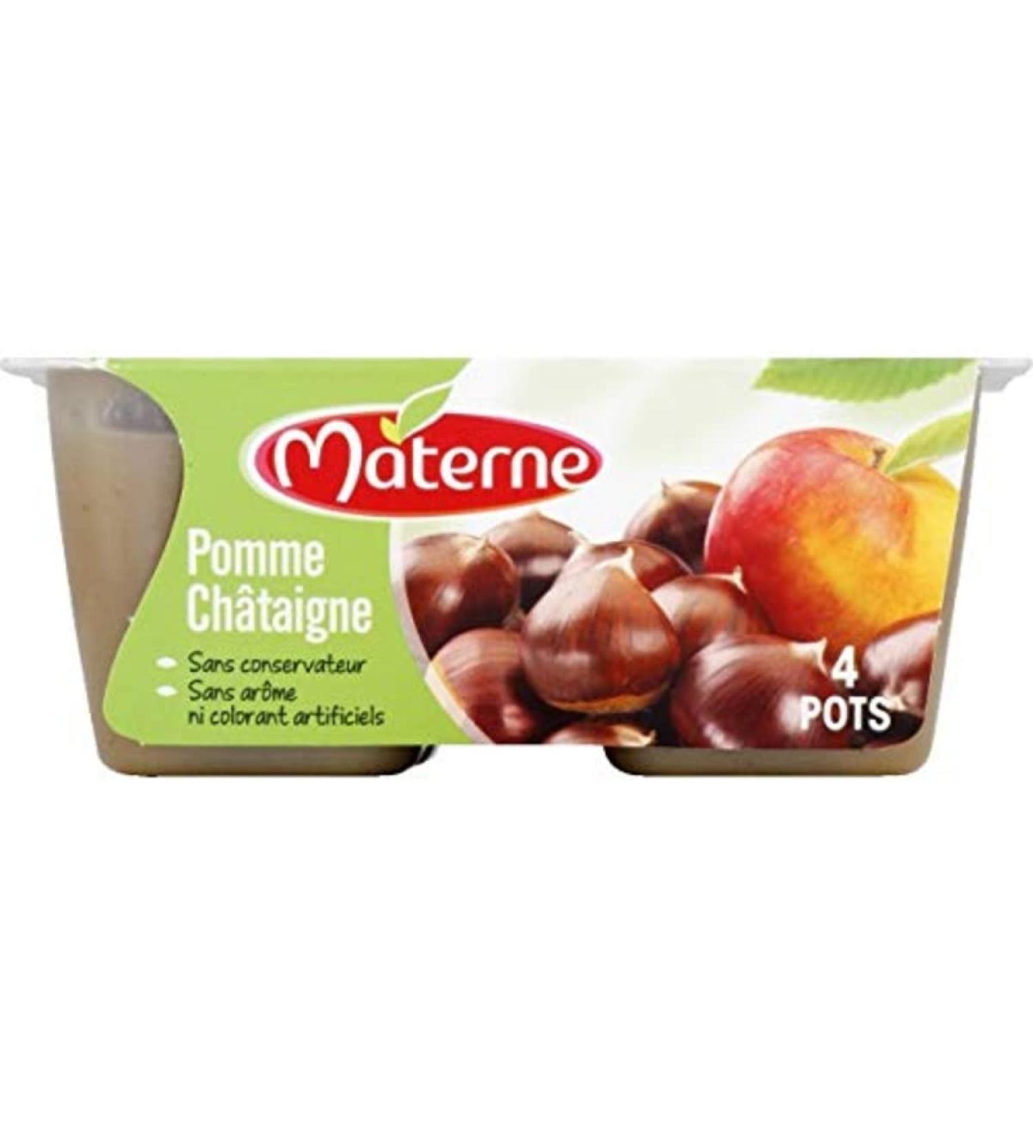 Materne Specialty apple chestnut, without preservatives, without artificial flavors or colors - 4 jars of 100g