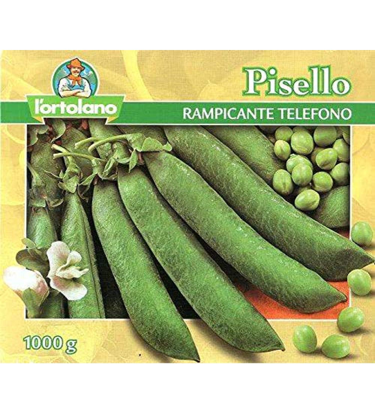 Climbing Pea Wrinkled Wheat sel Telephone - 500 gr - L'Ortolano