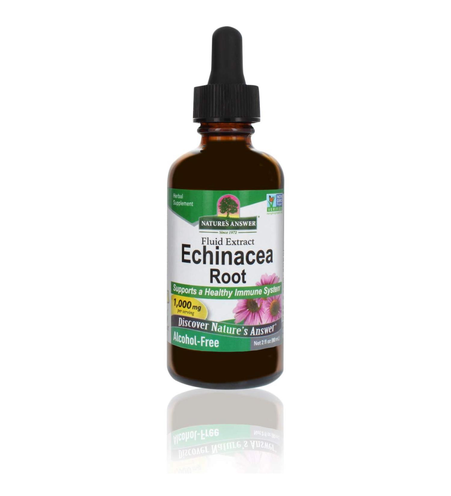 Echinacea Extract | Immune Support | Vegan, Gluten-Free, Non-GMO | 2oz - Nature's Answer - Buy Online on GoSupps.com