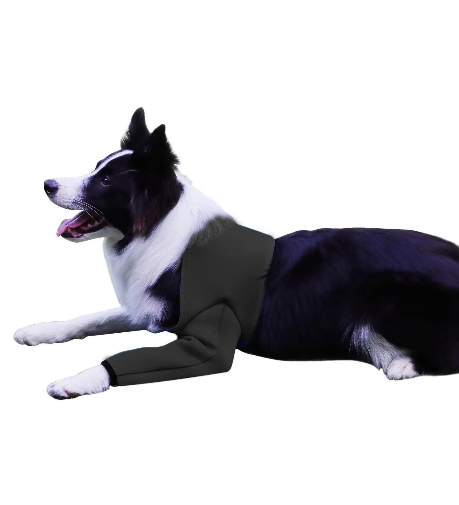 Dog Recovery Suit - Cone Collar Alternative Abrasion-Resistant Waterproof & Washable Prevents Licking & Wound Infection (Black M) - Buy Online on GoSupps.com