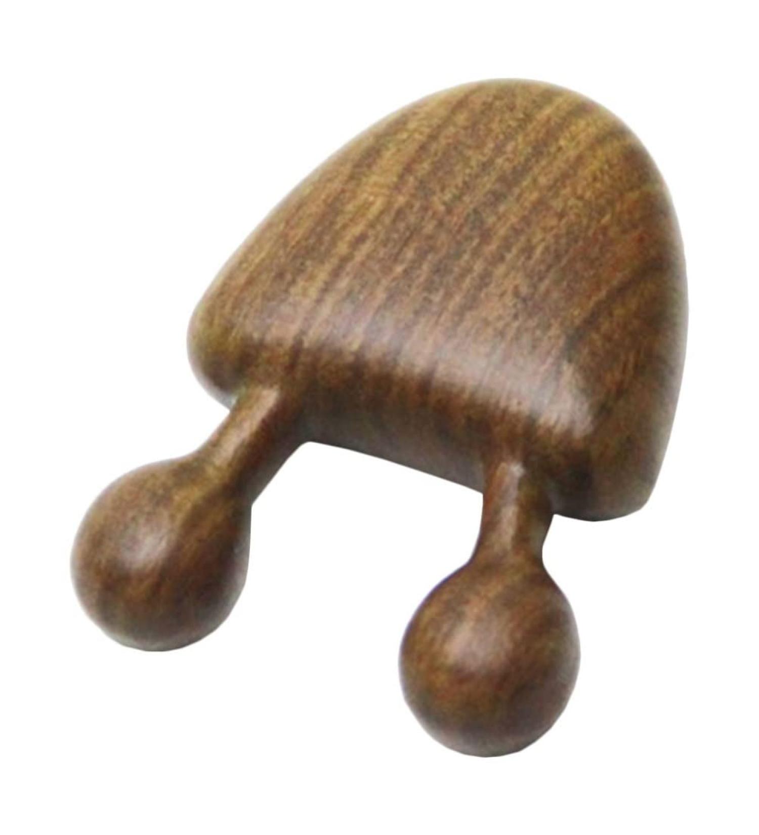 Fomiyes Portable Massage Roller Tools | Fascia Massage Sticks for Back Neck & Body Relaxation - Buy Online on GoSupps.com