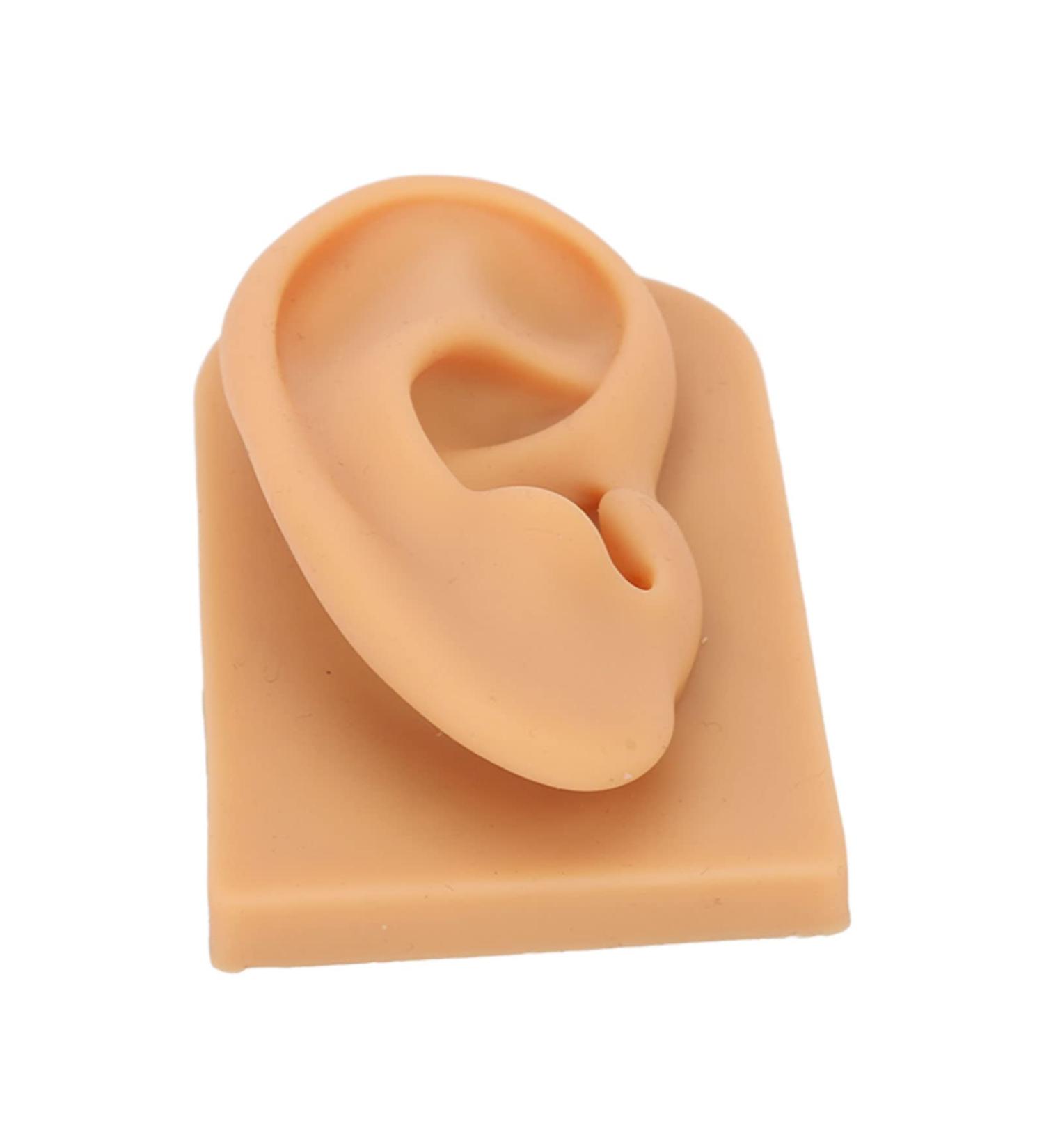 Silicone Right Acupuncture Ear Model - Waterproof Hearing Aid Display Accessory for Science Education - Buy Online on GoSupps.com