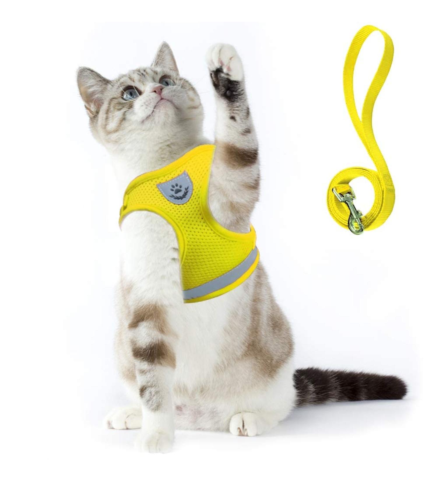 Supet Cat Dishes: Soft Yellow Cat Vest for Kittens & Small Dogs (M 33-38 cm) | International Shipping - Buy Online on GoSupps.com