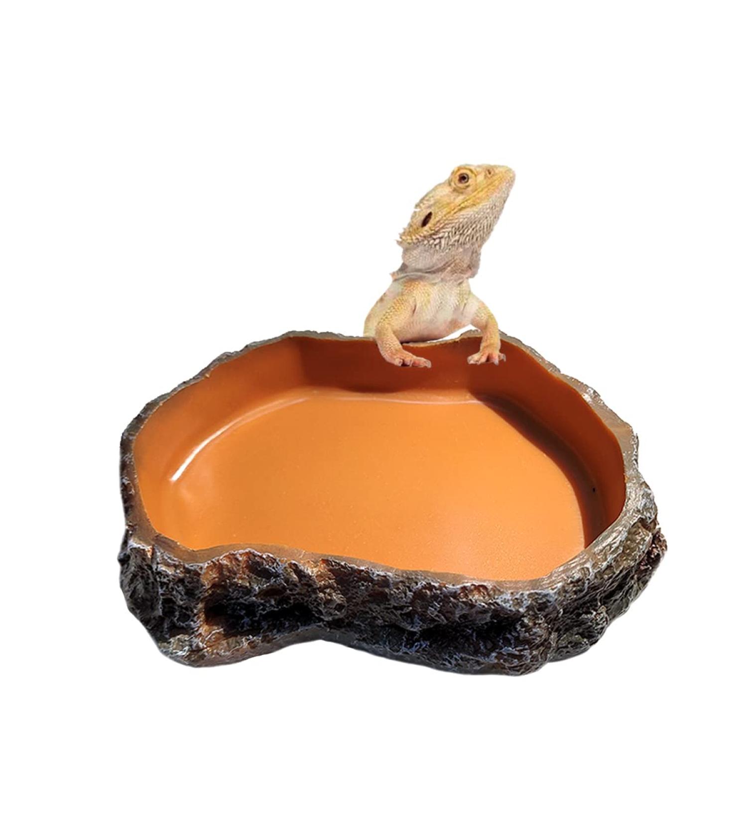 RunXF Reptile Food Water Bowl Simulation Rock Dish for Leopard Gecko Bearded Dragon Lizards Turtle Frog Feeding Bathing bowl (medium) - Buy Online on GoSupps.com