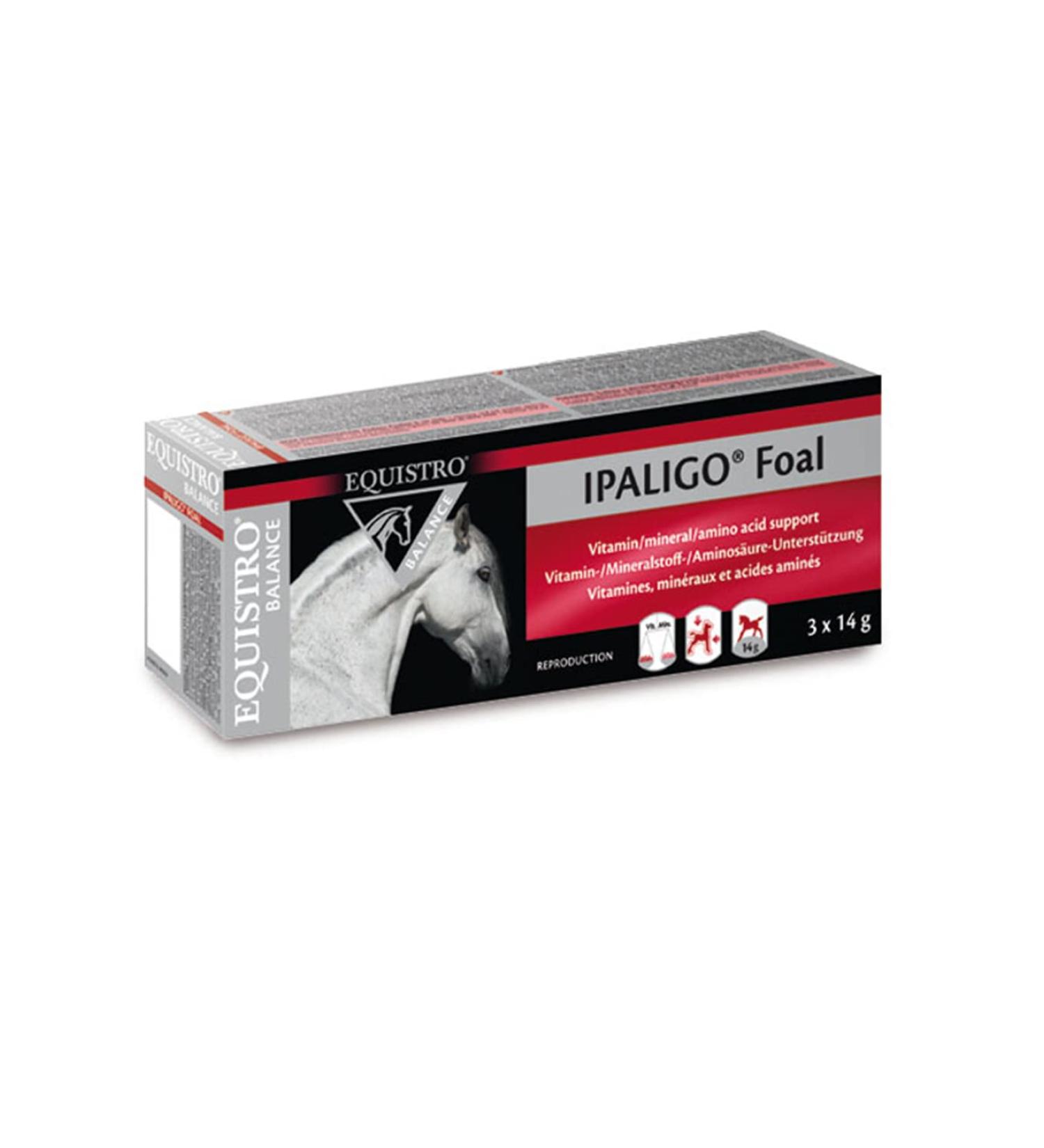 Equistro Ipaligo Foal 3x14g Oral Syringe - Buy Online on GoSupps.com
