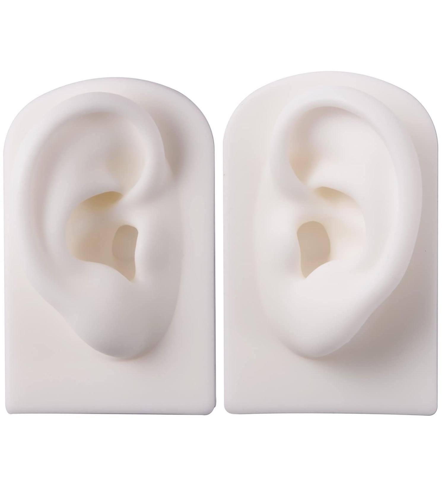 Buy KTROK Silicone Acupuncture Ear Model Set - Reusable Artificial Ear Simulation for Science Lessons & Anatomy Studies Online - Buy Online on GoSupps.com