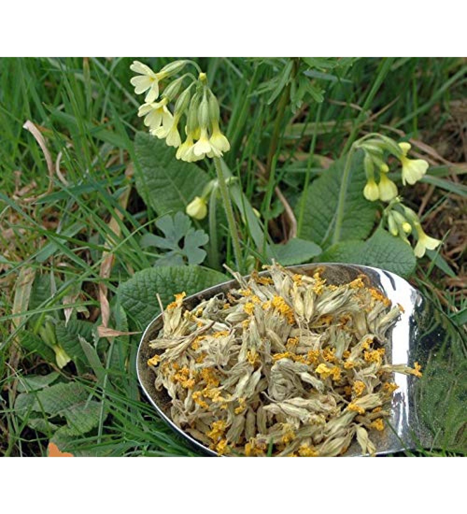 Krauterino24 Krauterino24 - Key flowers with chalice - Quantity: 250 g