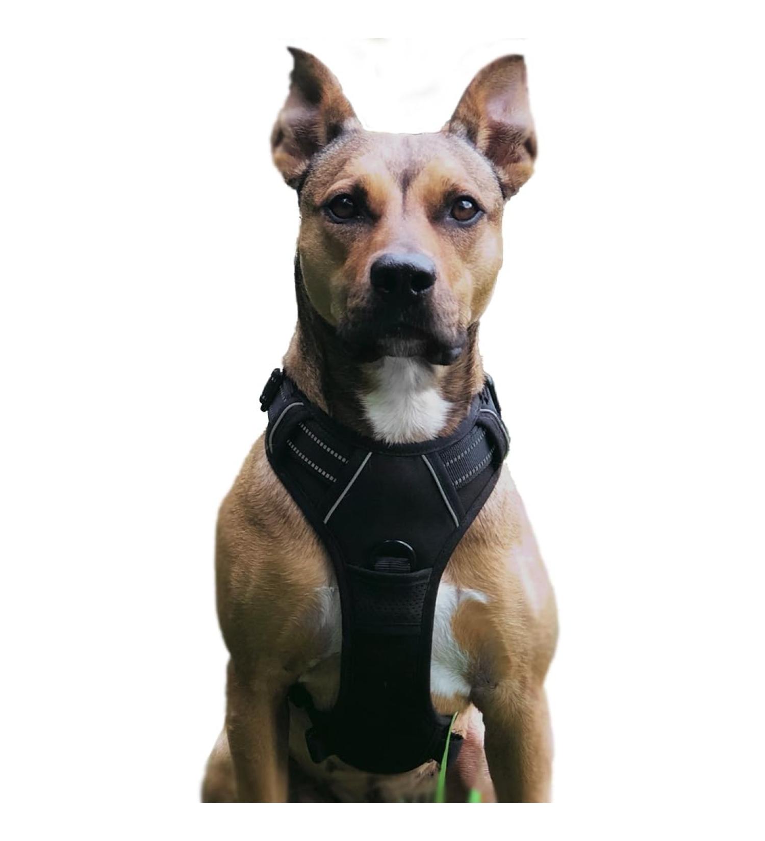 No Pull Dog Harness - Adjustable Breathable Reflective & Soft Padded | Large Black Dog Harness - Perfect for Ultimate Comfort & Control - Buy Online on GoSupps.com