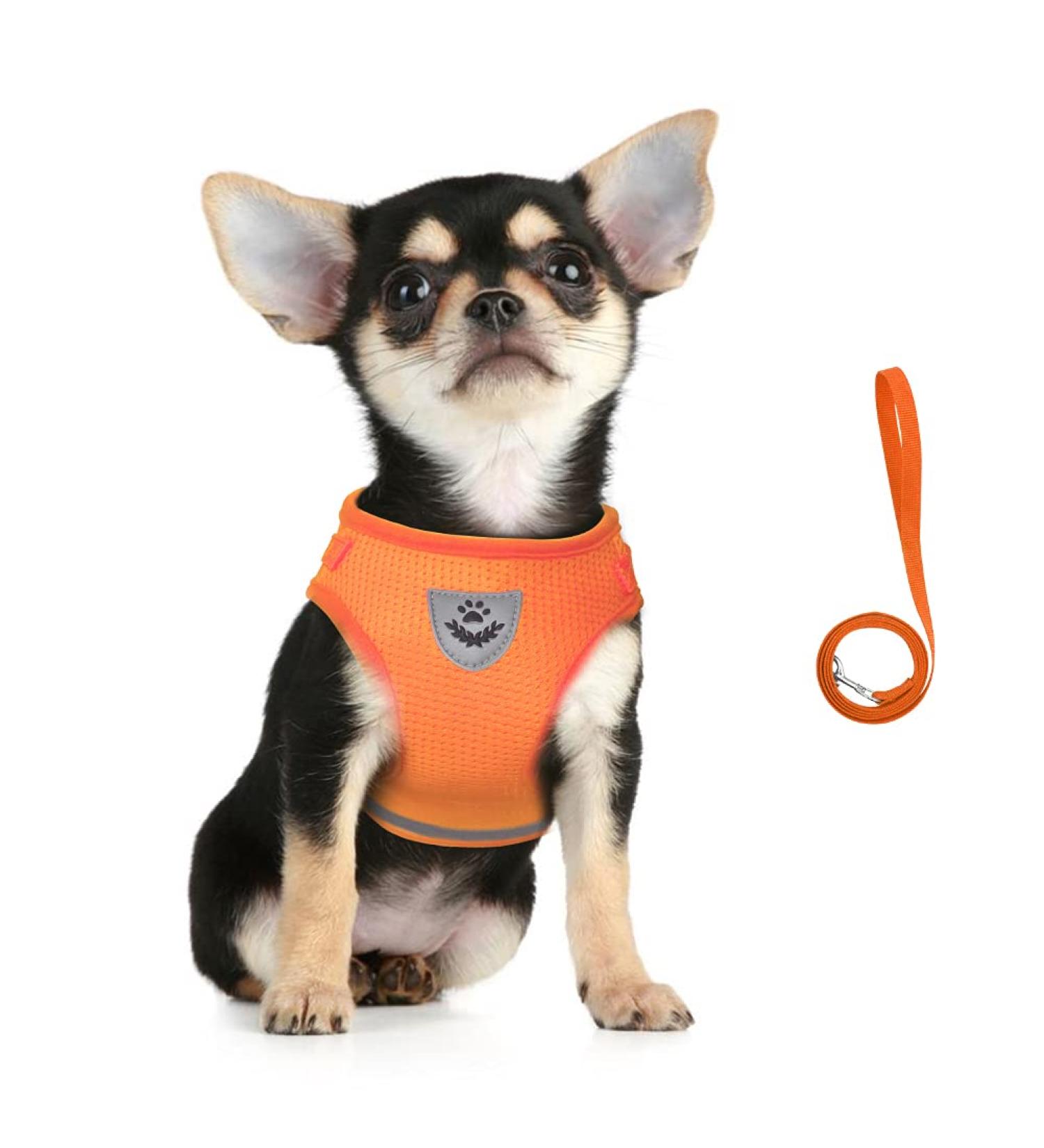 Femax Dog Harness & Linen Set | Soft Mesh Padded Dishes for Puppies & Cats | Reflective & Adjustable Breathable Training Gear (35-40 cm Chest) - Orange - Buy Online on GoSupps.com
