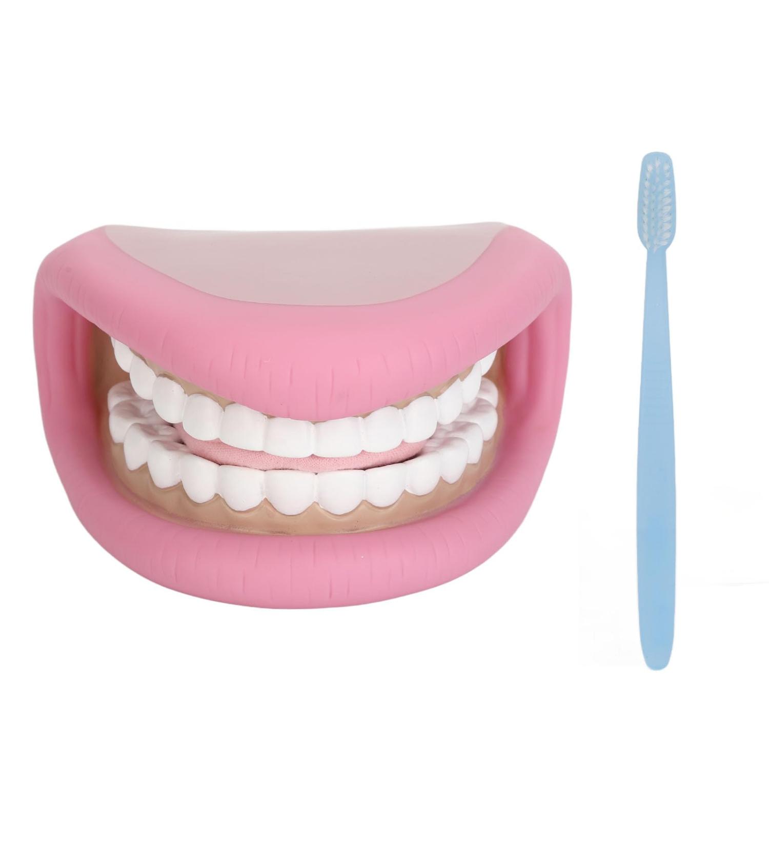 Dental Care Model for Kids | Flexible False Teeth for Speech & Language Development - Buy Online on GoSupps.com