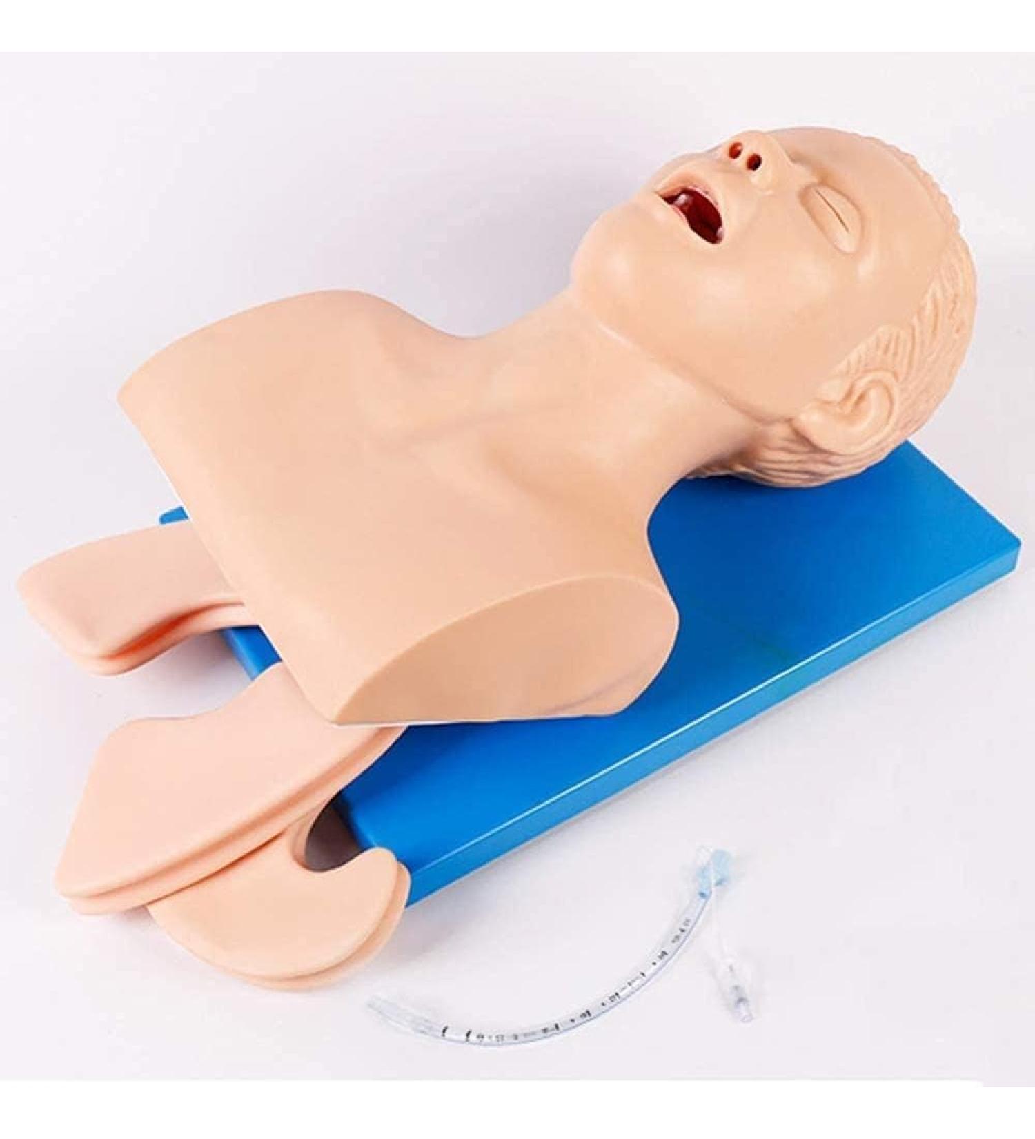 Buy Adult Electronic Tracheal Intubation Manikin | Best Training Simulator for Airway Management | International Shipping Available - Buy Online on GoSupps.com