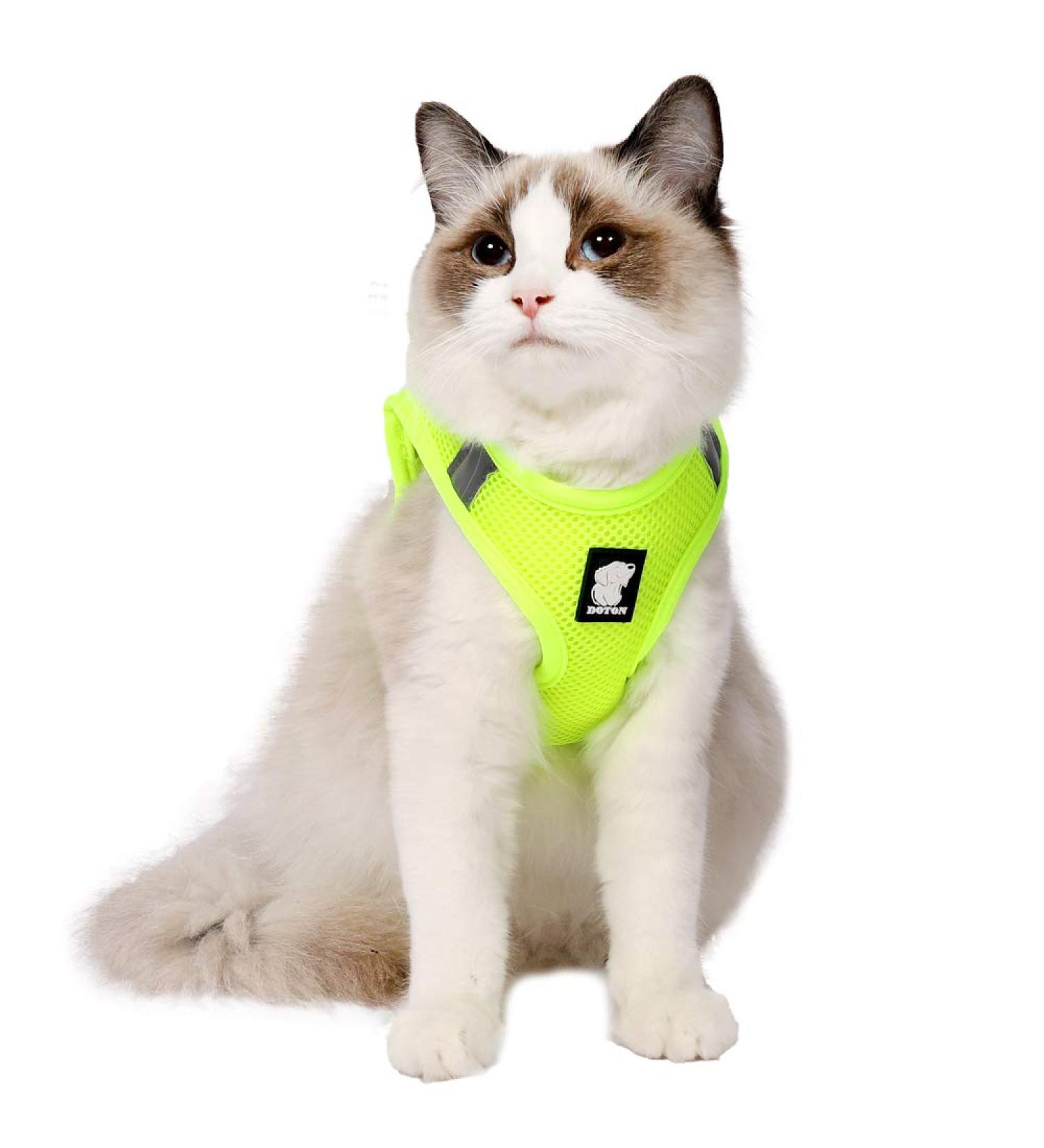 Shop Lianzimau Cat Dishes & Ultra Light Escape Protection Vest for Kittens - Adjustable Soft Network Jacket (1 Pack) in Fruit Green - Buy Online on GoSupps.com