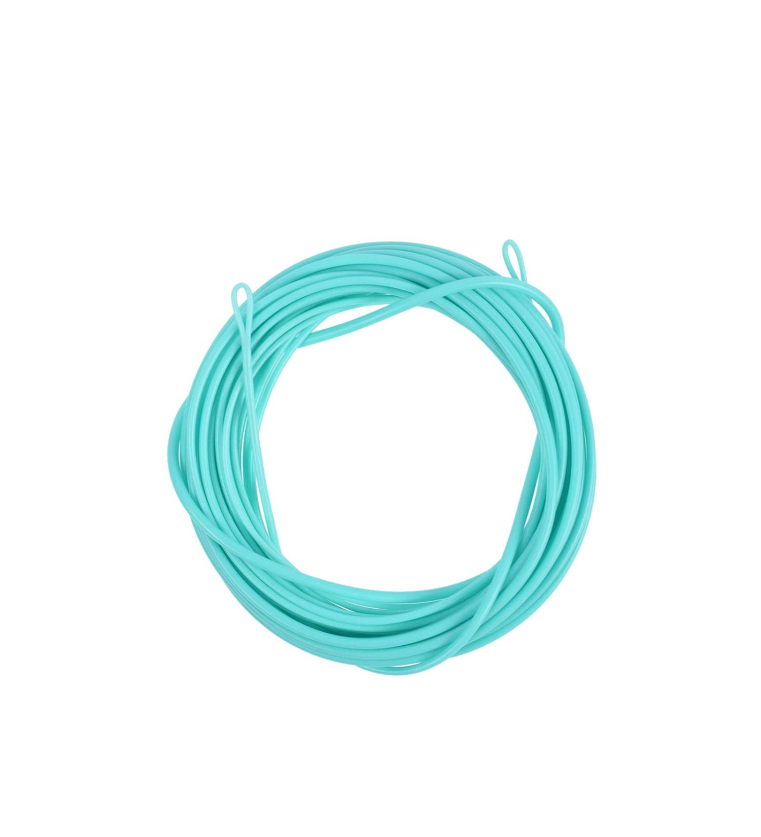 Buy SF Skagit Point Scandi Fly Cord Tip for Salmon & Steelhead - 10/12/15FT Multi-Colored with Welded Loops | Light Mint - Floating 90/110/125gr for Fly Fishing - Buy Online on GoSupps.com