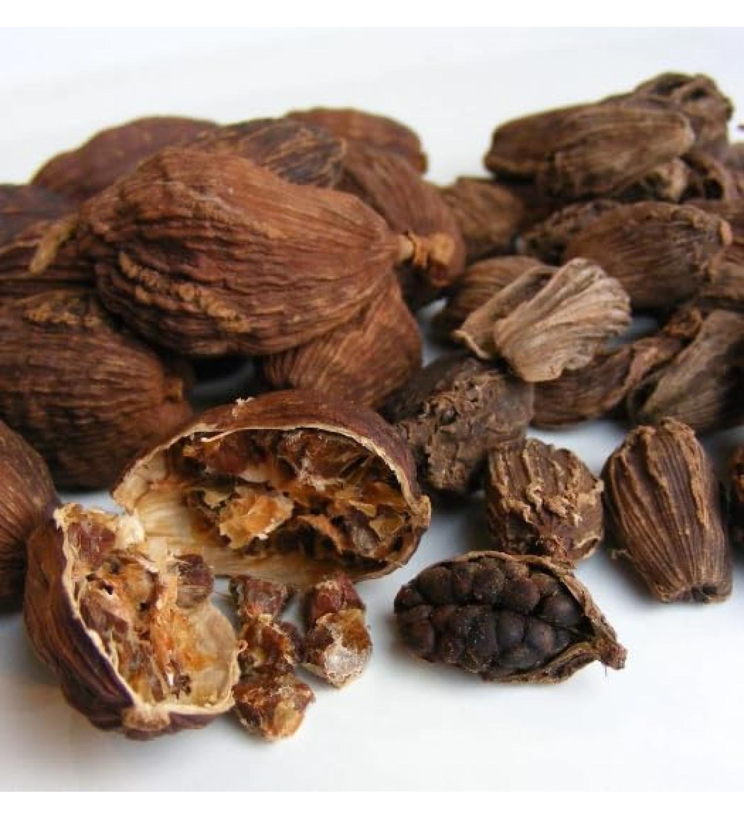 Cardamom black pods whole 50g Cardamom Black Brown Cardamom  - Buy Online on GoSupps.com