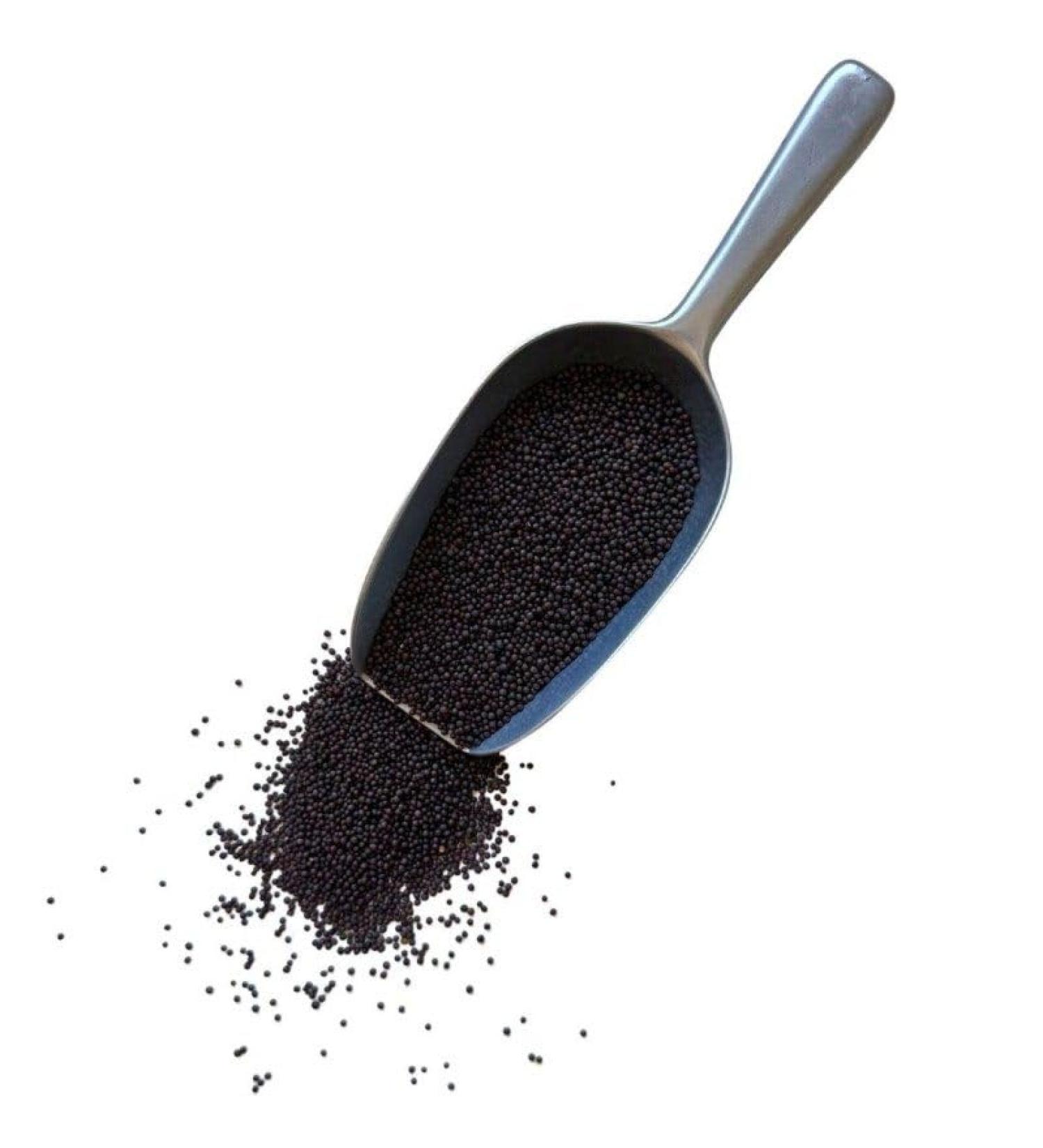  France Herboristerie France Herboristerie Herbal Tea Mustard Black - Buy Online on GoSupps.com