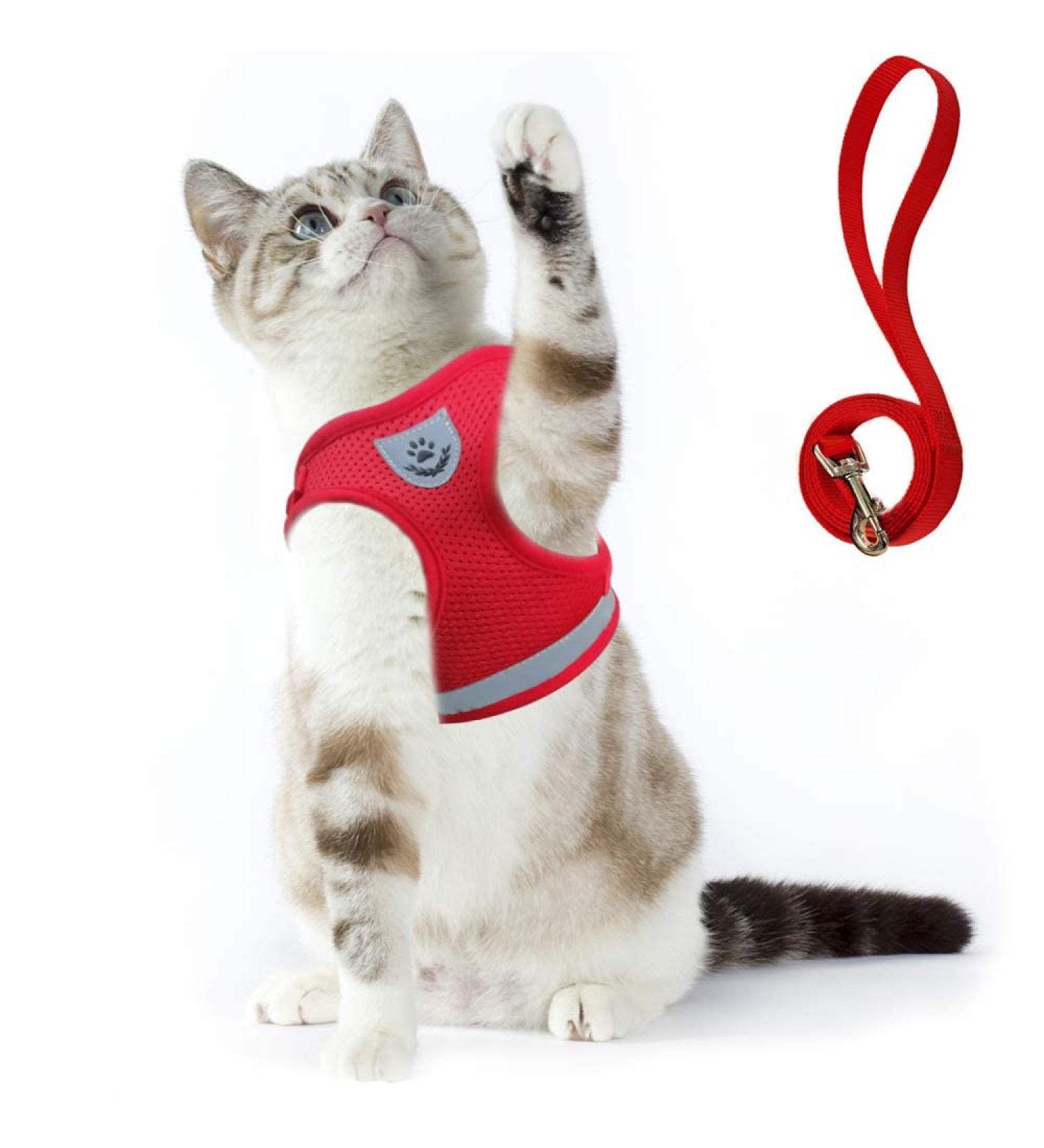Supet Soft Cat Dishes & Vest | Stylish Red Cat Apparel for Kittens & Small Dogs (Chest 26-32 cm) - International Shipping - Buy Online on GoSupps.com