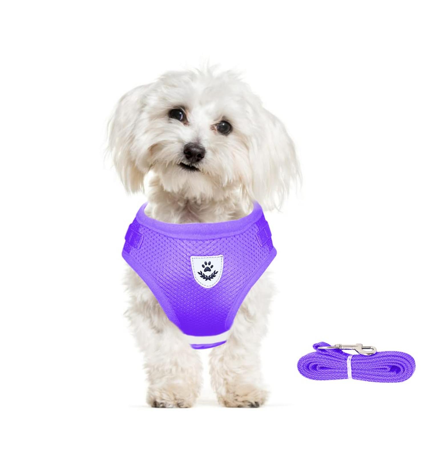 Meioro Adjustable Dog Harness with Leash - Soft Padded Vest for Small & Medium Dogs - Reflective Black & Purple (35-40cm) - Buy Online on GoSupps.com