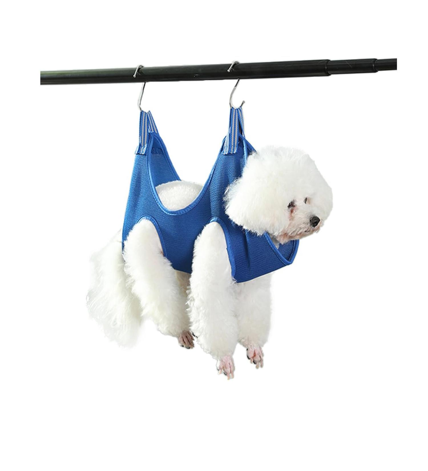 Qrity Cat & Dog Care Pocket Hammock Set with S Hook - Blue | Perfect for Nail Cutting & Fur Care - Buy Online on GoSupps.com