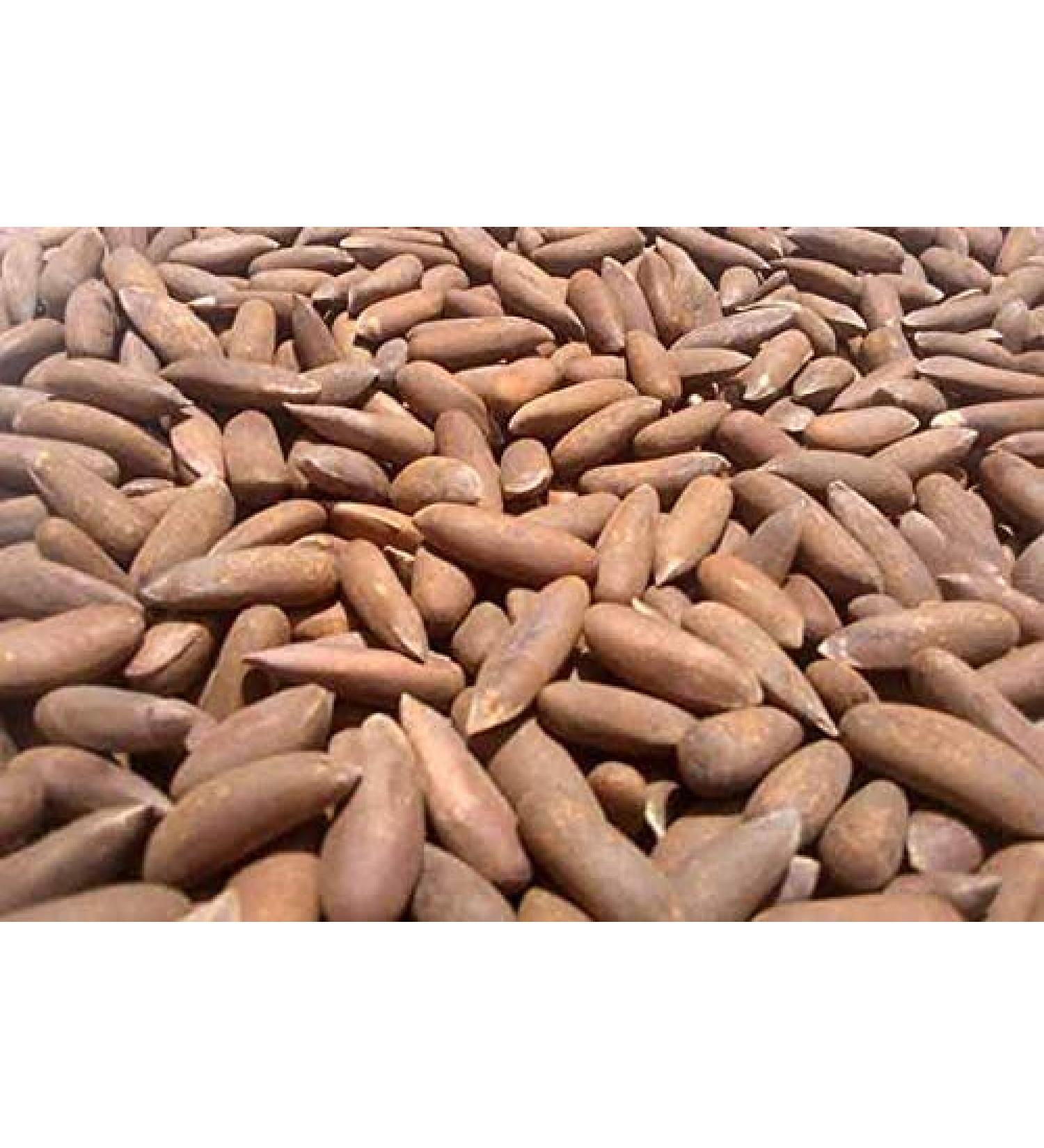 Pine Nuts with Shell 500gms Chilgoza Dry Fruit Chilgoza Pine Nuts - Buy Online on GoSupps.com