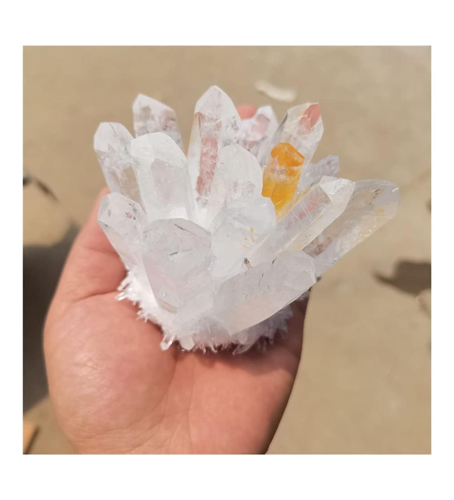 Crystal Rough Natural Crystal Rough Natural White Transparent Crystal Cluster Stone ore Specimen demagnetization Stone Purification Ment Stone decoratio (Size : 600-700g) - Buy Online on GoSupps.com