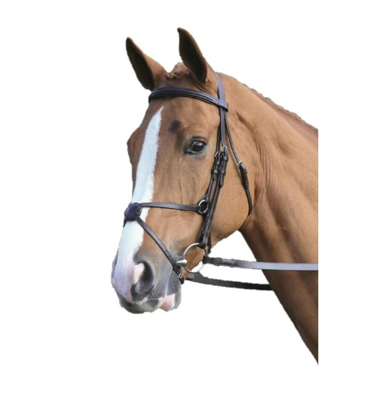 Shires Aviemore/Velociti Mexican Bridle 5004 Havana Full Size