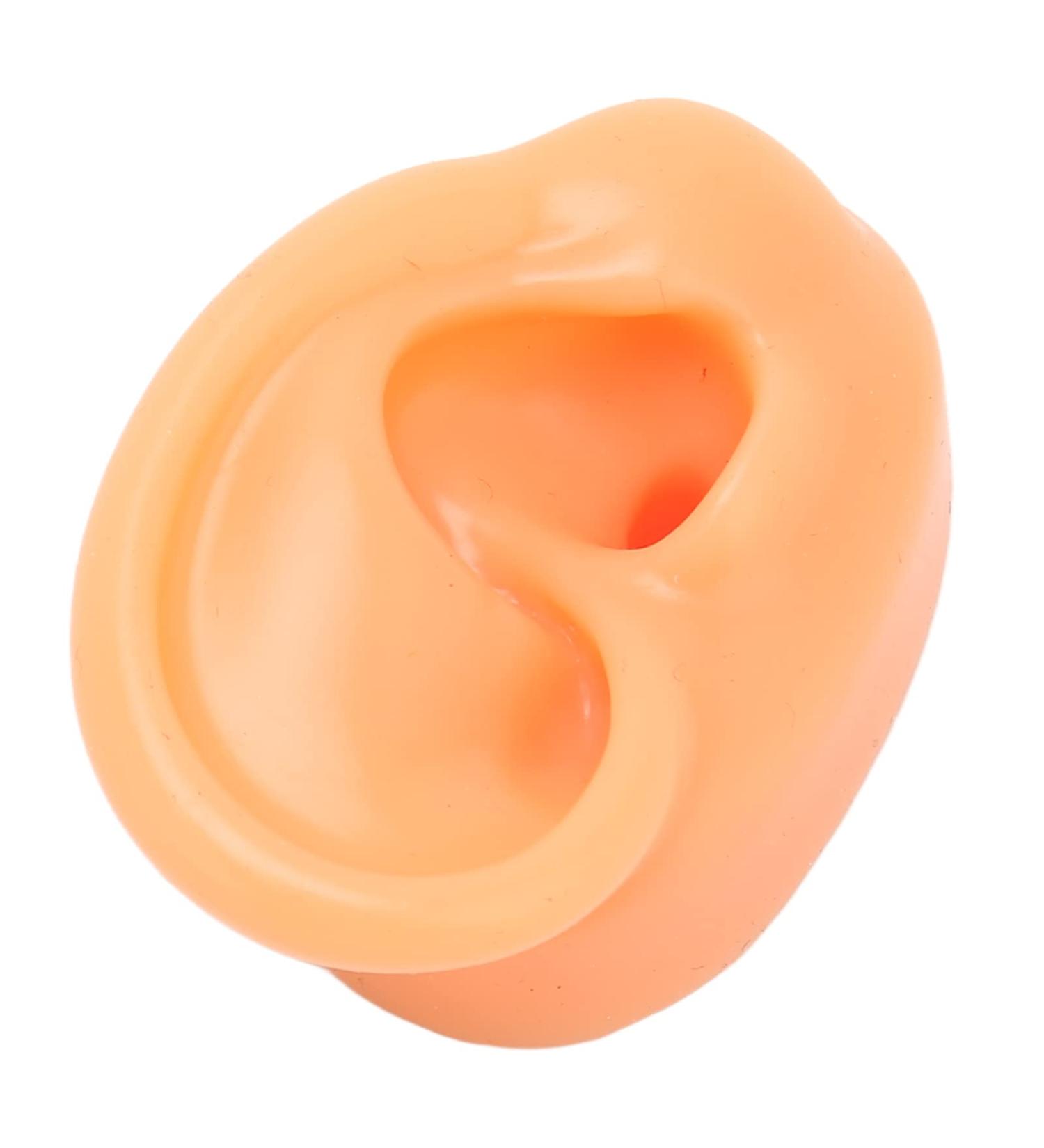Acupuncture Ear Model Silicone for Earrings Display (Left) | Multi-Purpose & Waterproof - Buy Online on GoSupps.com