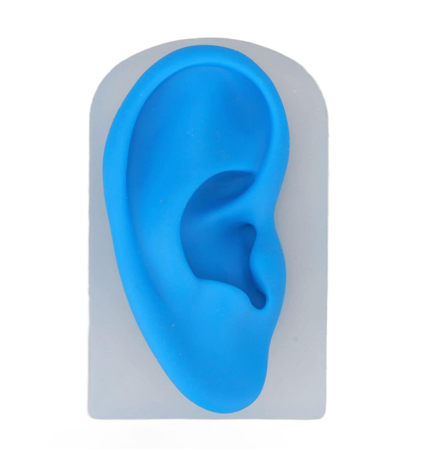 Silicone Ear Model - Transparent and Blue - Flexible for Piercing Practice - Buy Online on GoSupps.com