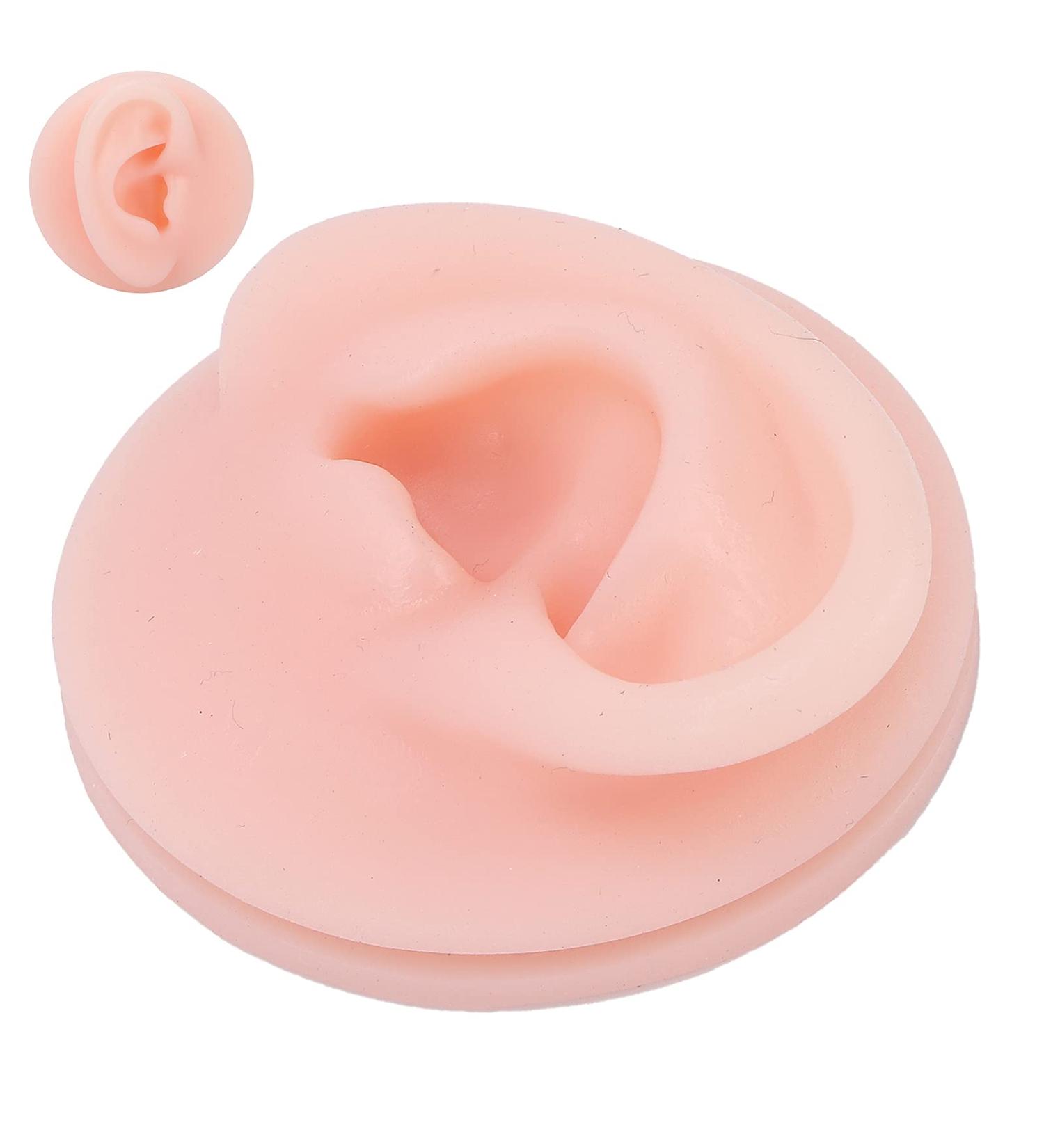 Professional Silicone Ear Model for Acupuncture Practice - Right Ear Display | International Shipping Available - Buy Online on GoSupps.com