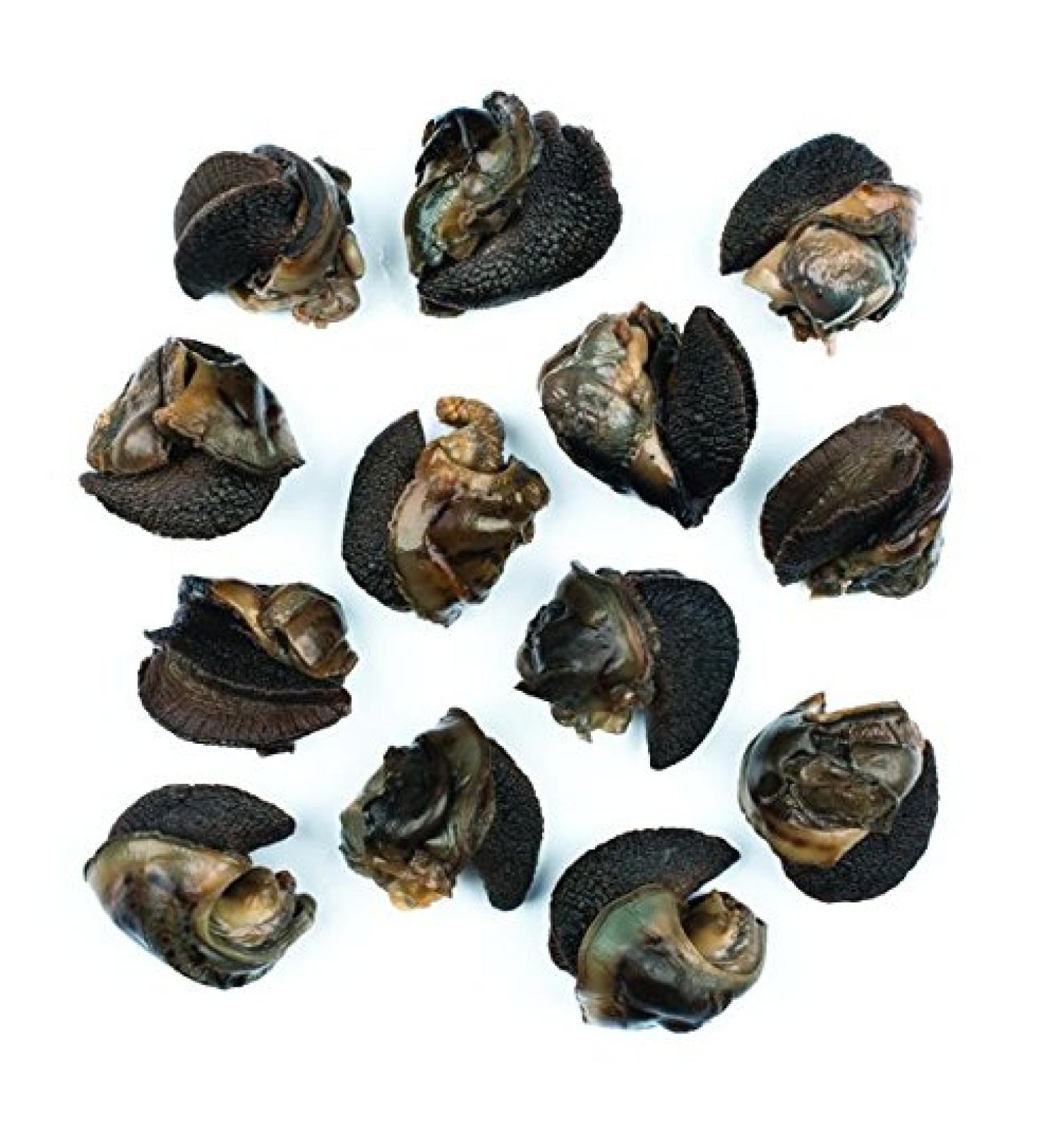 Roland Escargot Snails 7.75oz - Pack of 12 | Large Snails for Gourmet Dining - Buy Online on GoSupps.com