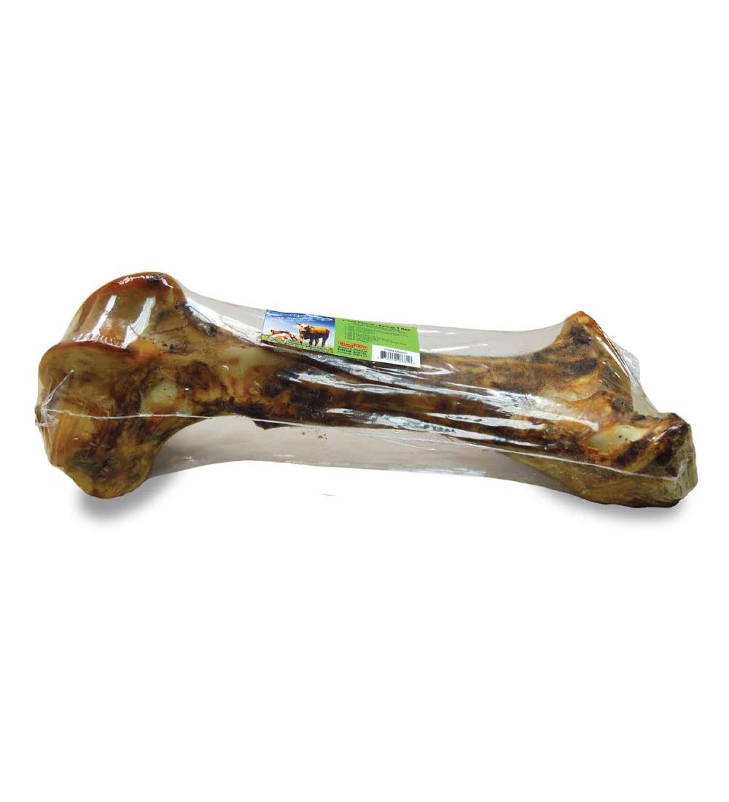 Bullsters Dog Treats Bones Chews Long Lasting for Aggressive Chewers All Natural for Medium Large Extra Large XL Dogs T-Rex Femur Approx 16"