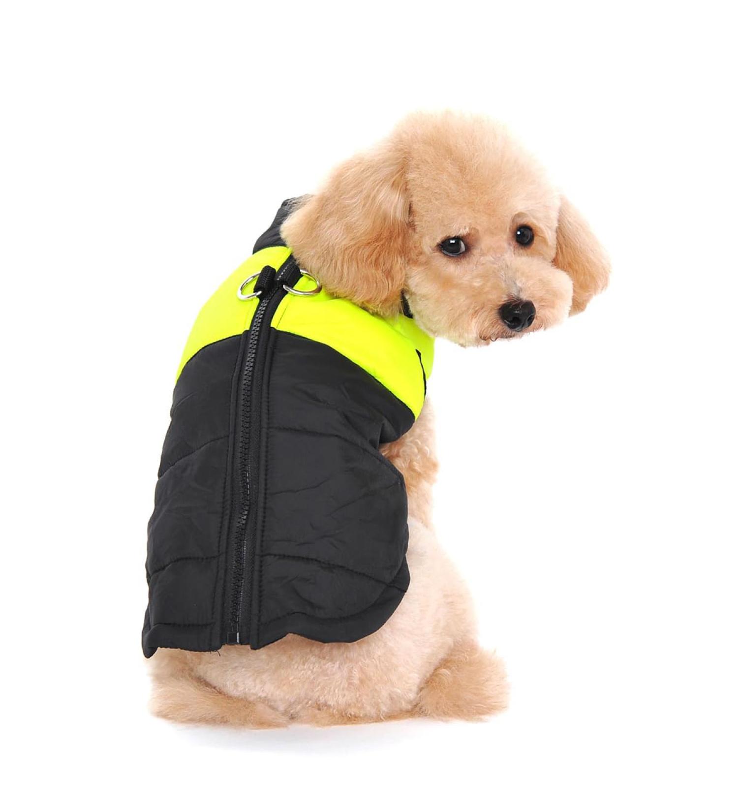 Buy Ectkuee Winter Warm Waterproof Dog Coat - Quilted Puffer Jacket for Small Dogs | Winter Pet Clothing | XXL Available - Buy Online on GoSupps.com