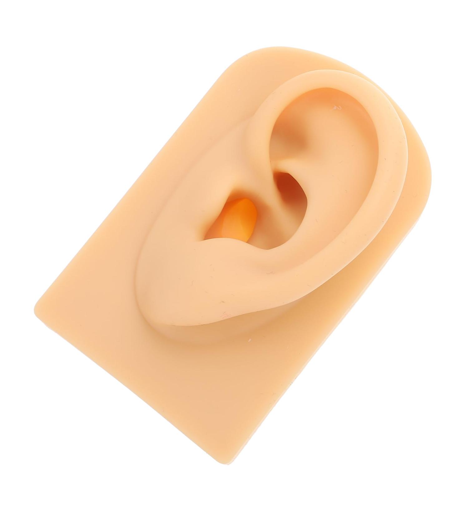 Realistic Silicone Ear Model for Teaching & Display 7.8x4.9cm Artificial Ear Prop for Piercing & Hearing Demonstrations - Buy Online on GoSupps.com