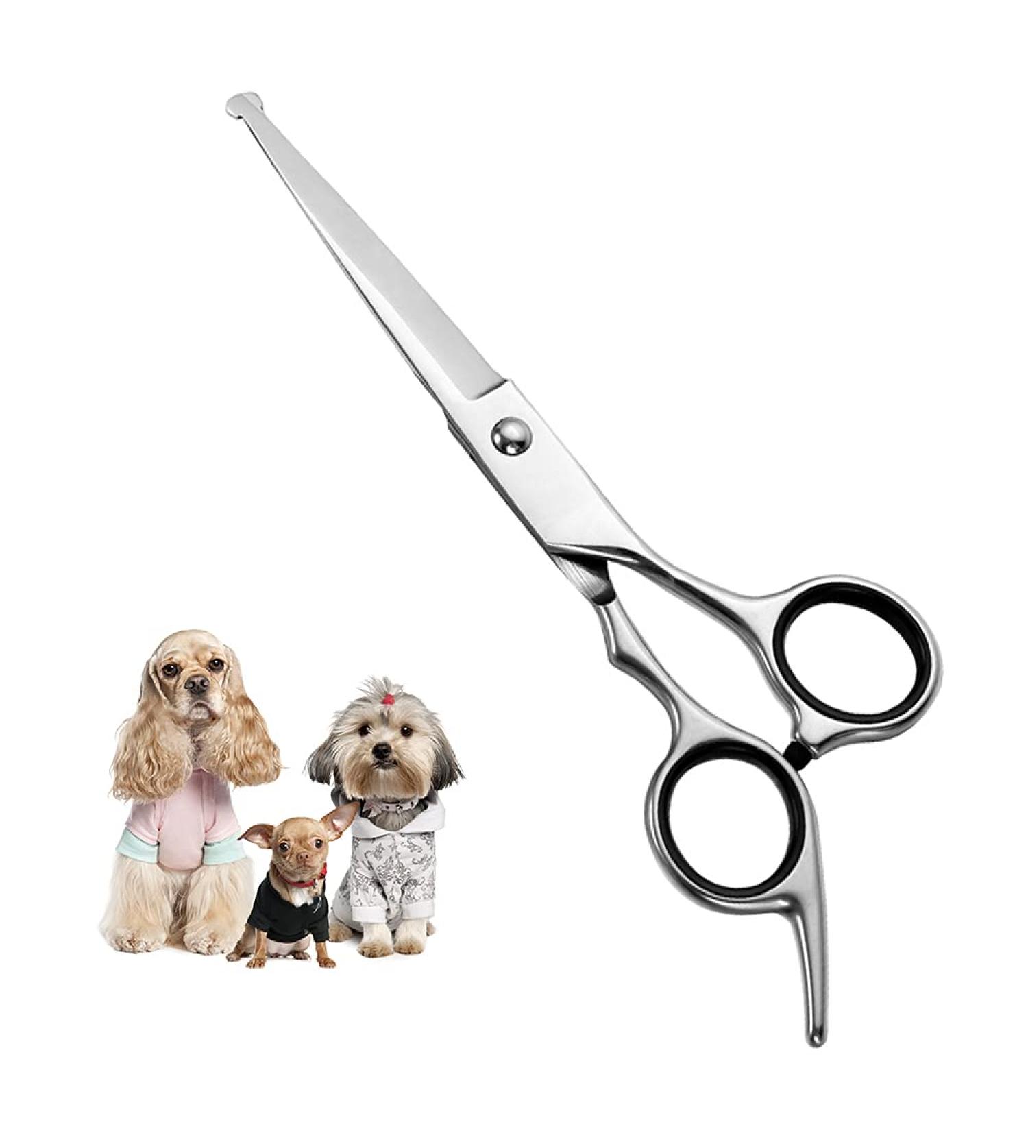 Professional Stainless Steel Dog Cups & Eye Cutters - Pet Care Tools | 17x6.6 cm - Buy Online on GoSupps.com