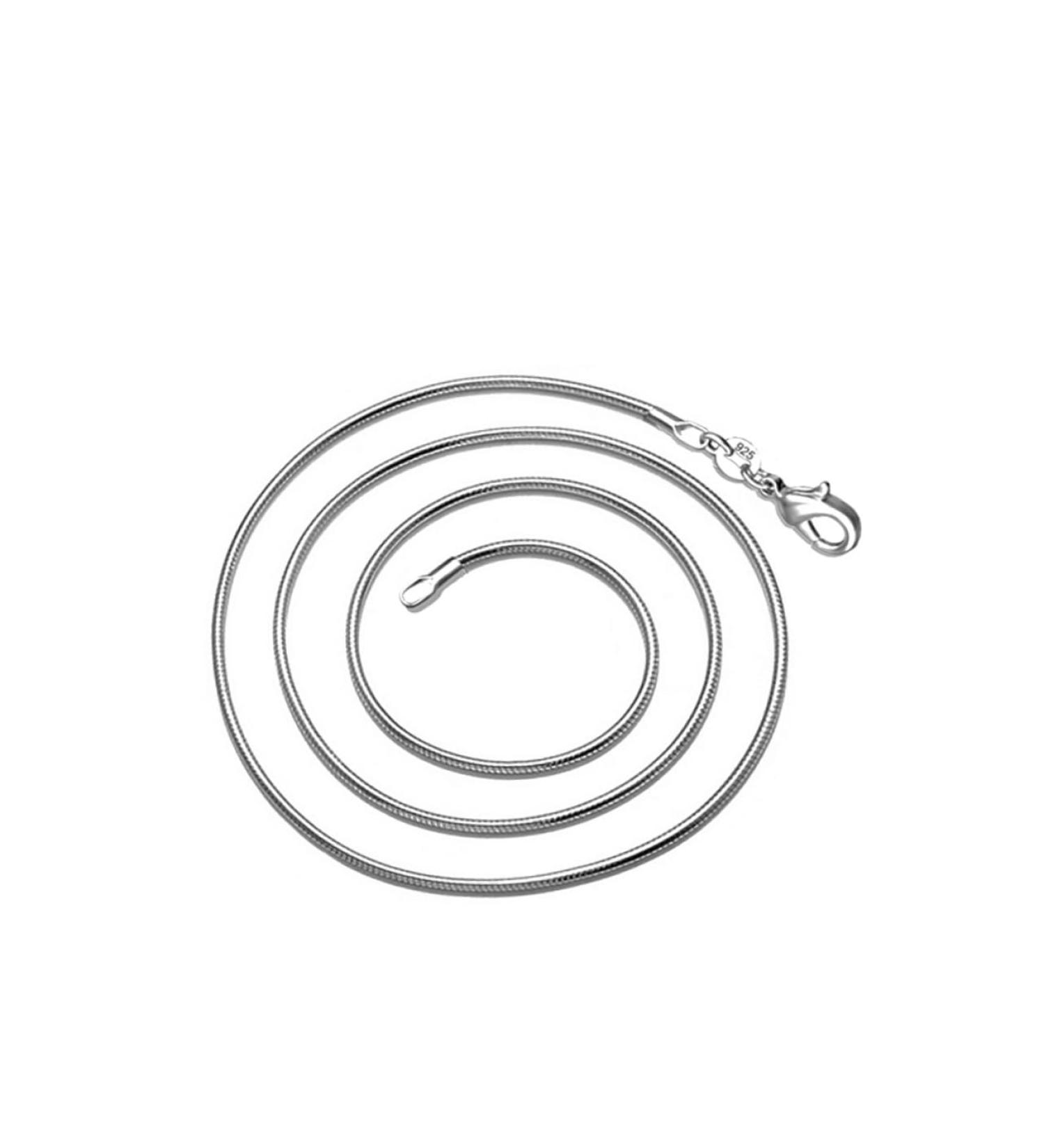 Holibanna Sterling Silver Necklace Silver Plated Necklace Lobster Clasp Chain Necklace European and American Accessories - Buy Online on GoSupps.com