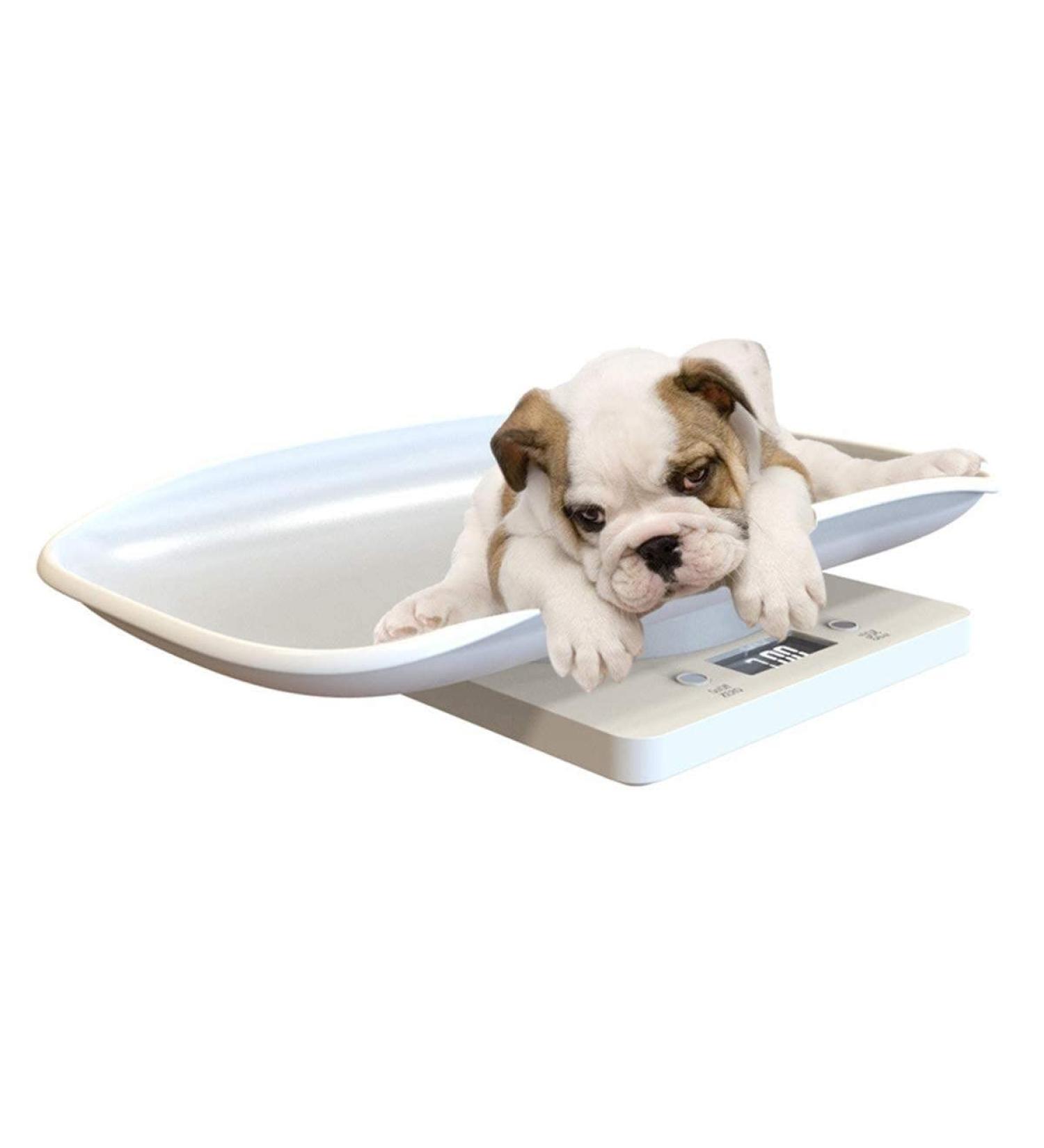 Yinuoday Digital Pet Scales - 10kg Capacity LCD Display Comfortable Curved Platform for Dogs & Pets - Accurate Weight Measurement - Buy Online on GoSupps.com