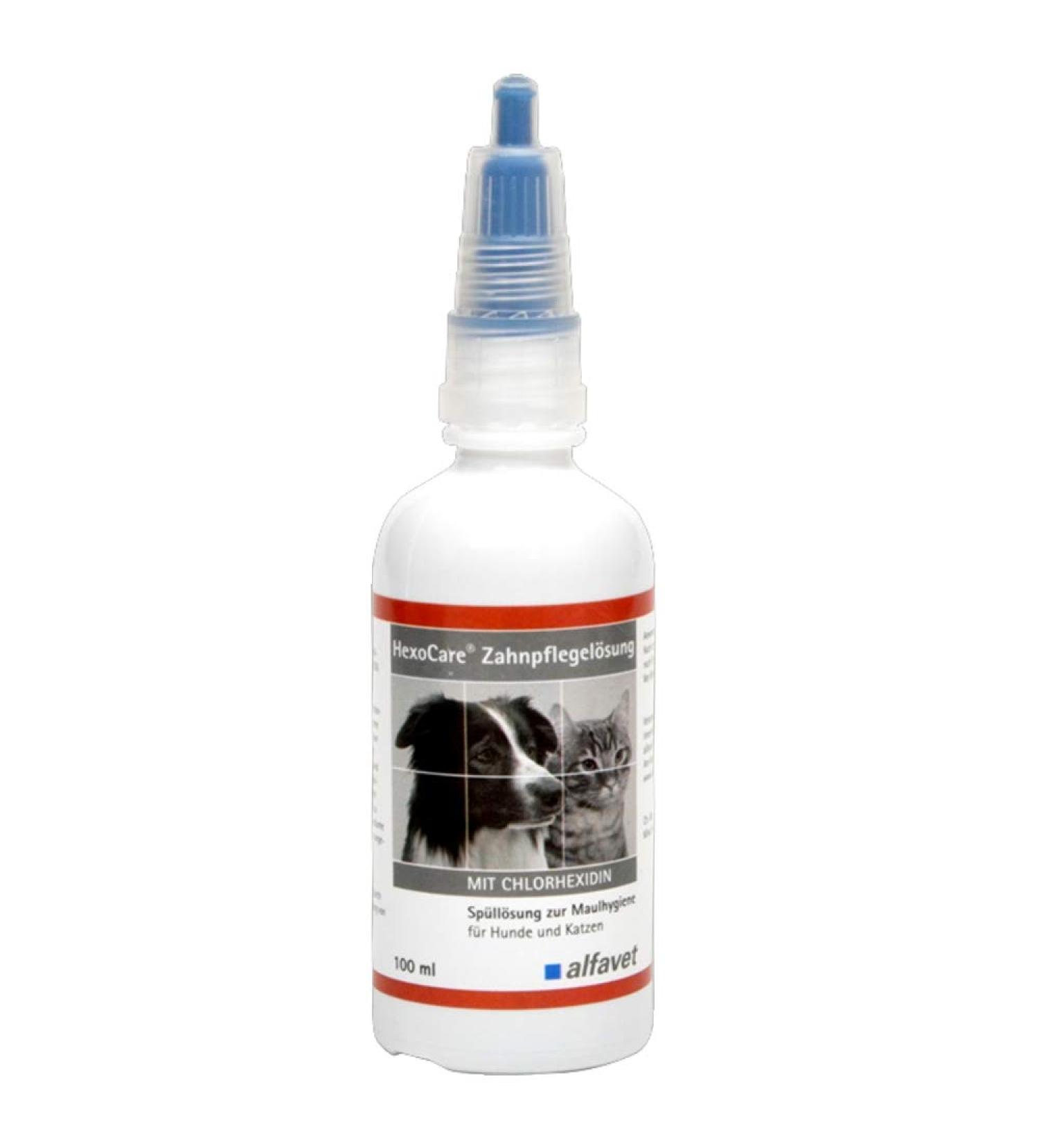 alfavet HexoCare Dental Care Solution Rinse solution for oral hygiene of dogs and cats With chlorhexidine and Tris-EDTA 100 ml - Buy Online on GoSupps.com