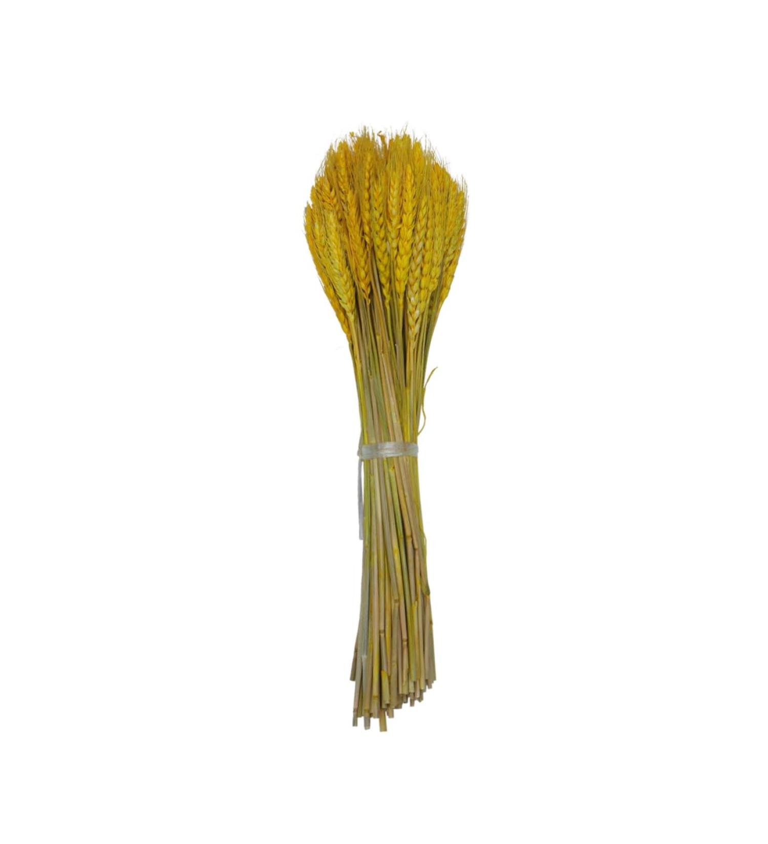 IMIKEYA Rustic Decor 1 Dried Wheat Rural Wheat Natural Wheat Simulation Wheat Dried Flowers Decorative Wheat Ears of Wheat Flower Basket Country Decor Golden 15*42cm - Buy Online on GoSupps.com