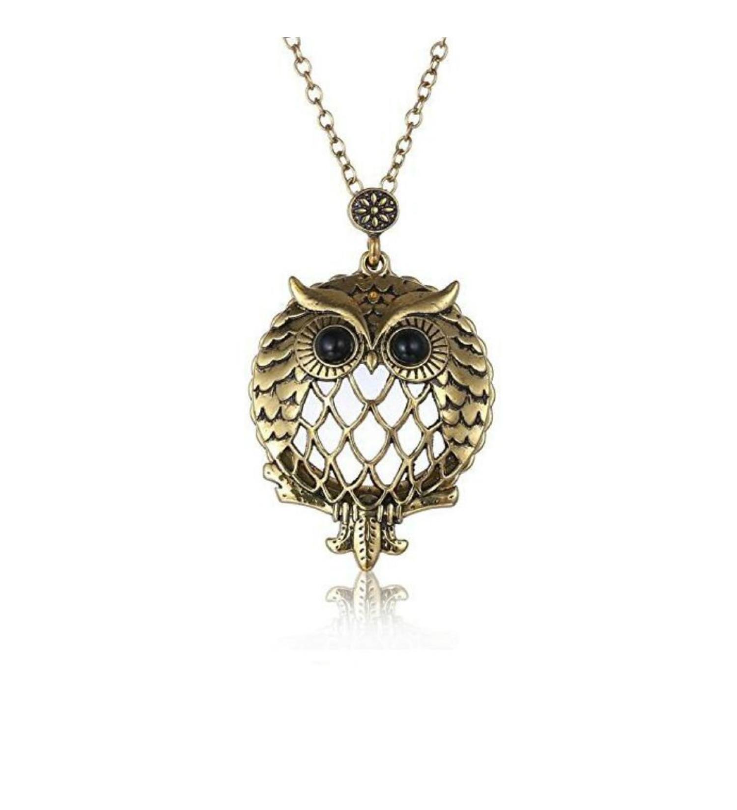 AKOAK 5X Portable Vintage Magnifying Glass Pendant Necklace for Library Reading Fine Print Zooming Increase Vision Jewelry and Gift (Owl) - Buy Online on GoSupps.com