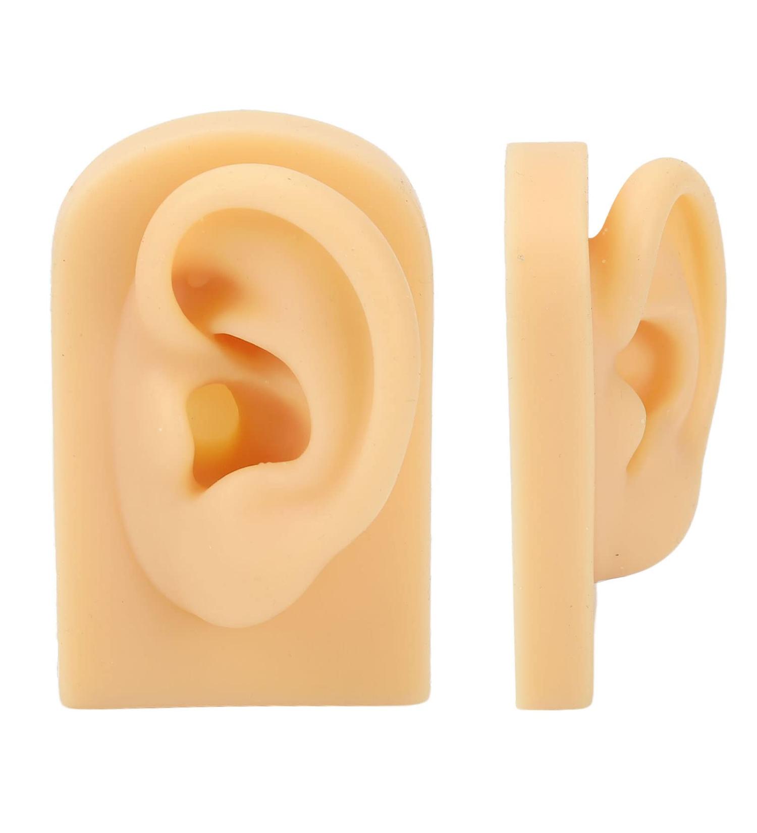Flexible Human Silicone Ear Model for Hearing Aid Display | Elastic Fake Ear for Cosmetic Training - International Shipping - Buy Online on GoSupps.com