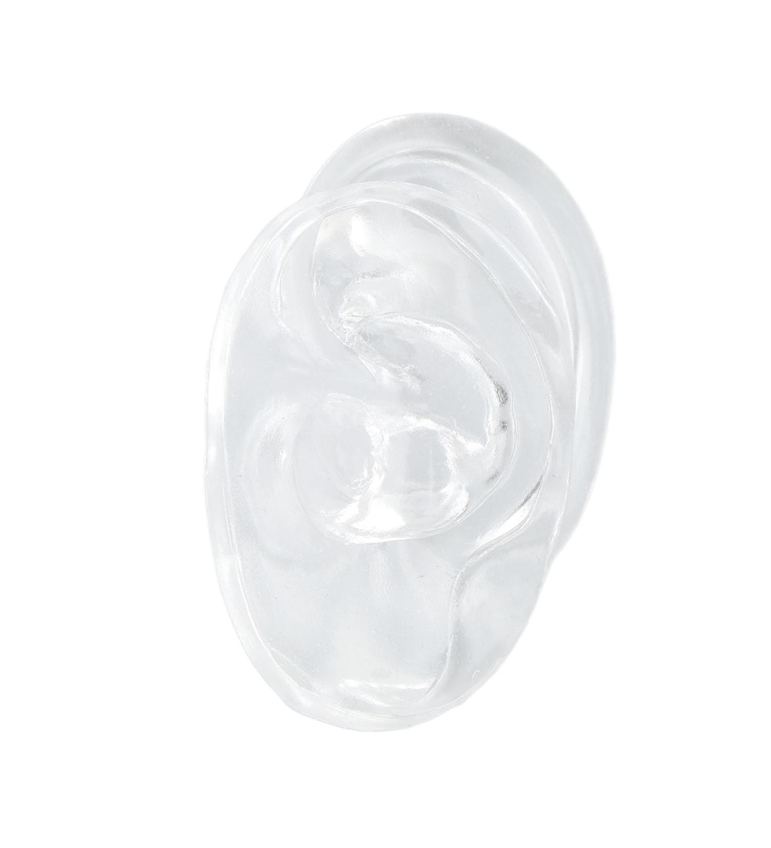 Buy Waterproof Silicone Right Ear Model - Transparent Human Ear Simulation for Sound Aid & Teaching Tools | International Shipping - Buy Online on GoSupps.com