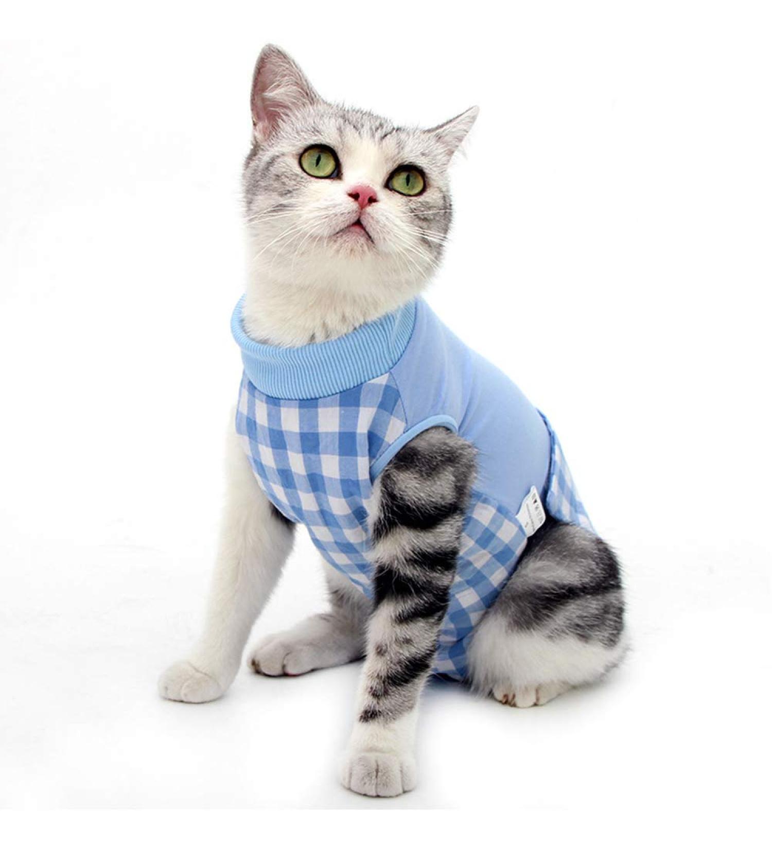 Cat Recovery Suit Anti-Bite and lick for Abdominal Wounds or Skin Diseases After Surgery Wear Collar Alternative for Cats and Dogs Cat Professional Surgical Suit - Buy Online on GoSupps.com