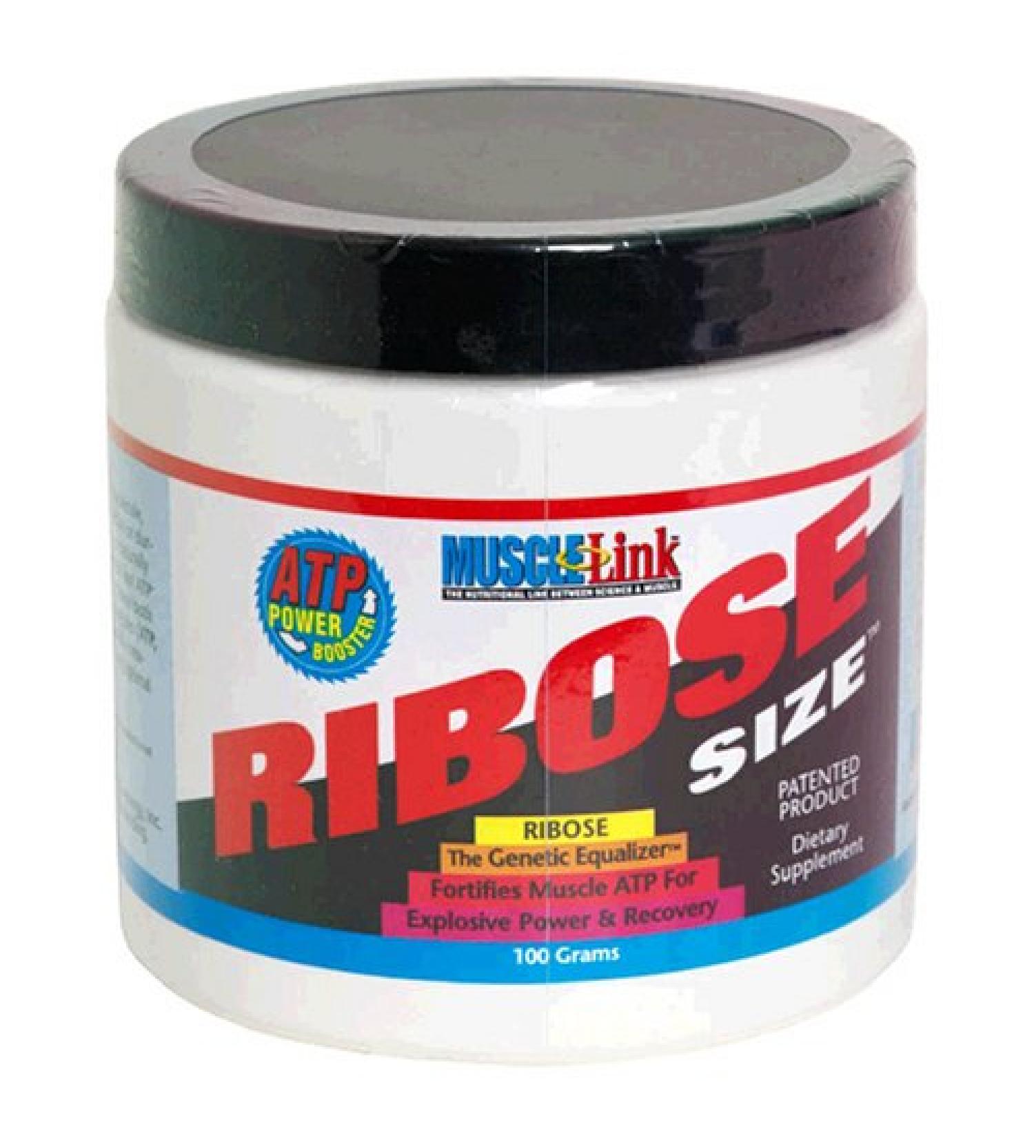 Ribose Size Power Booster 100 g