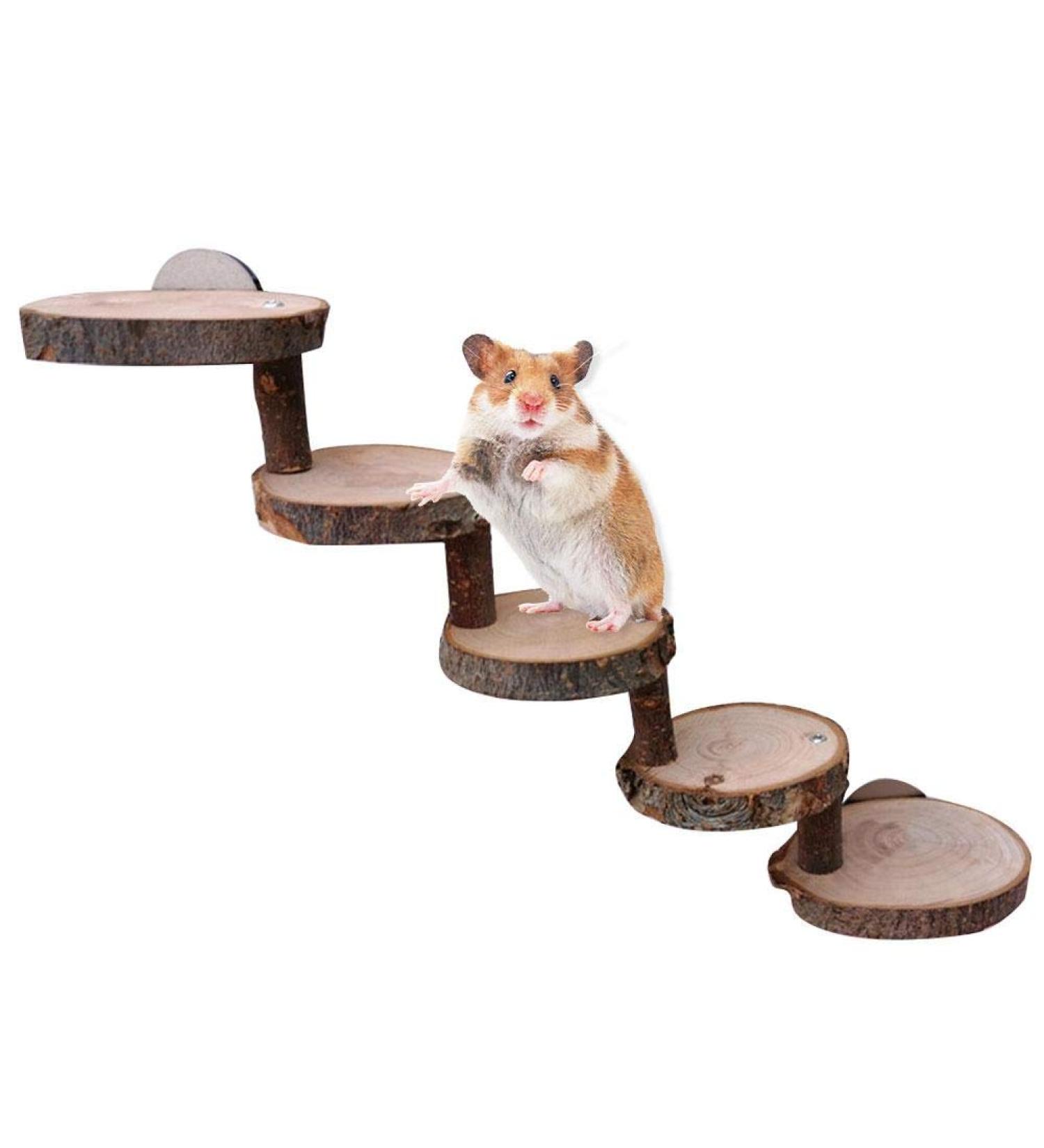 Kitabetty Wooden Hamster Ladder Natural Apple Wood Pet Ladder Hamster Climbing Ladder Pet Bridge Toy Pet Climbing Stairs Training Tool Hamster Cage Accessories - Buy Online on GoSupps.com