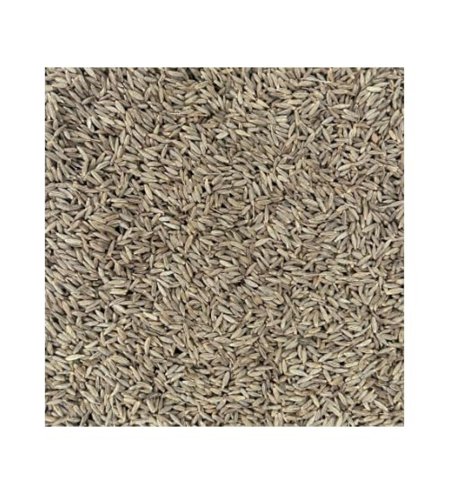 Cumin Seeds (114 G) - Buy Online on GoSupps.com