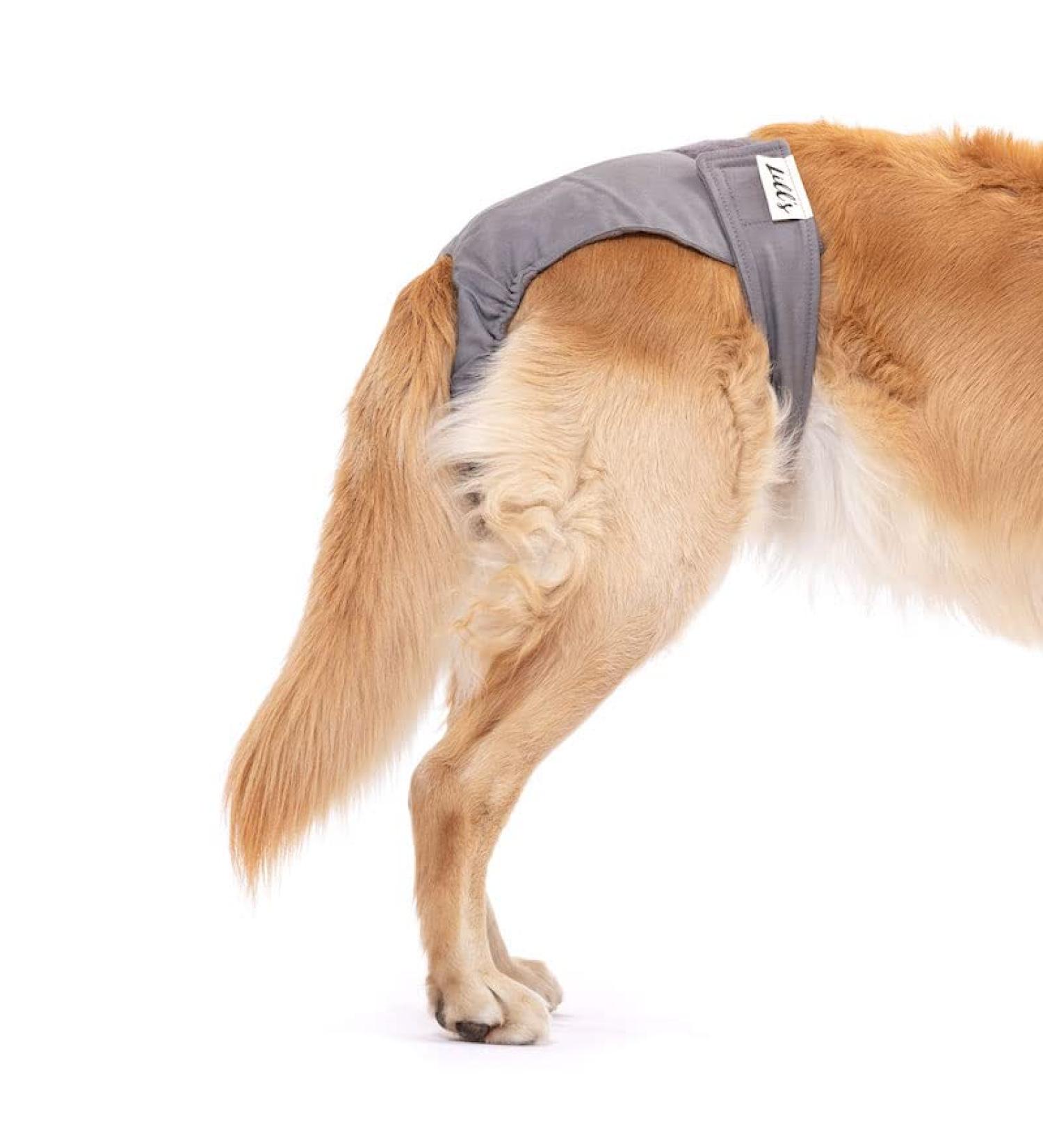 Shop Lills Fuse Pants - Flexible Closure Washable Organic Cotton Extra Absorbent XS to XXL Stone Gray - Buy Online on GoSupps.com