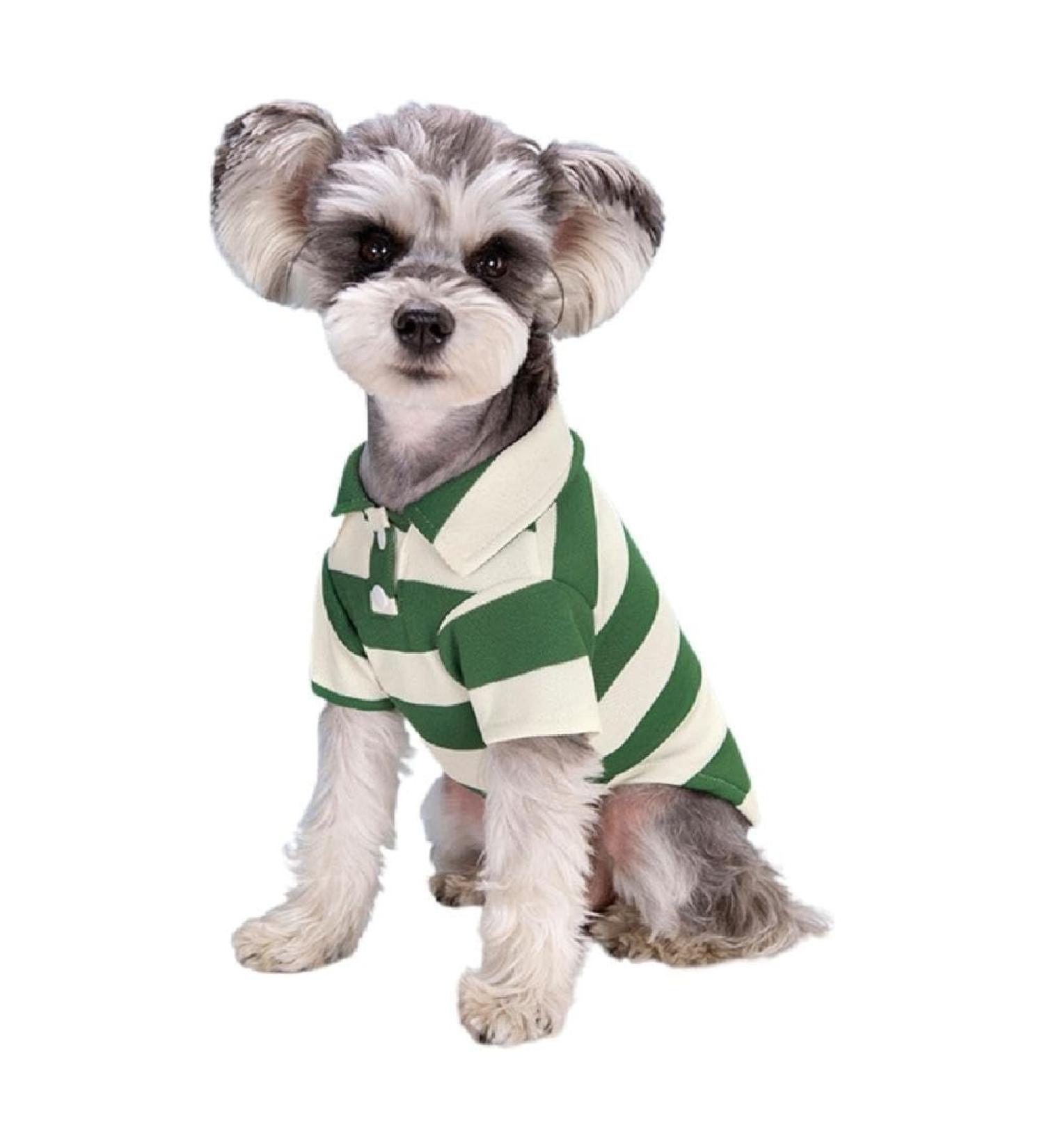 Fashionable Green Striped Polo Shirt for Small Dogs | Summer T-Shirt Costume for Bichon & French Bulldog | Breathable XS Puppy Clothing - Buy Online on GoSupps.com