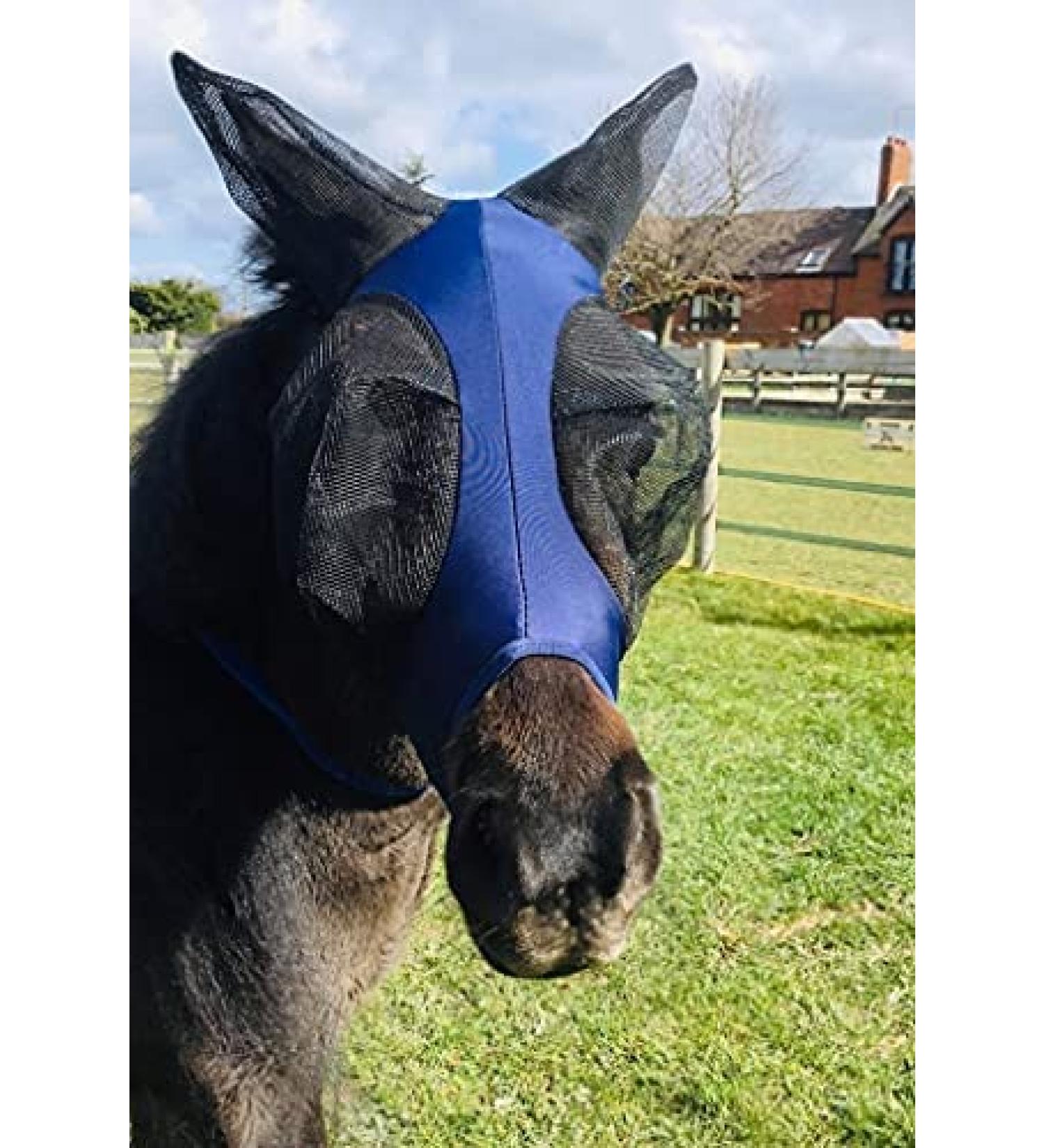Ruggles Shetland Miniature Section A Pull On Fly Mask With Ears | Stretch Lycra | Horse & Pony Eye Protection (X-Mini Navy) X-Mini Navy