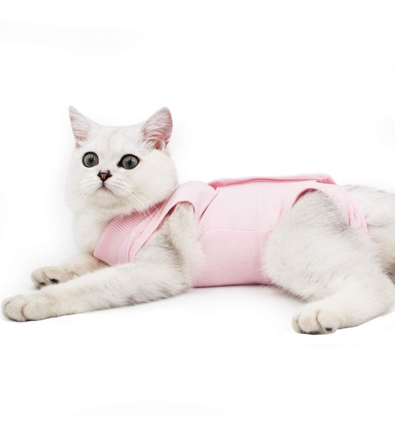Cat Professional Recovery Suit for Abdominal Wounds or Skin Diseases  E-Collar Alternative for Cats and Dogs  After Surgery Wear  Pajama Suit Medium Pink - Buy Online on GoSupps.com